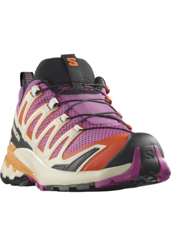 Salomon Trailrunningschuh »XA PRO 3D V9«