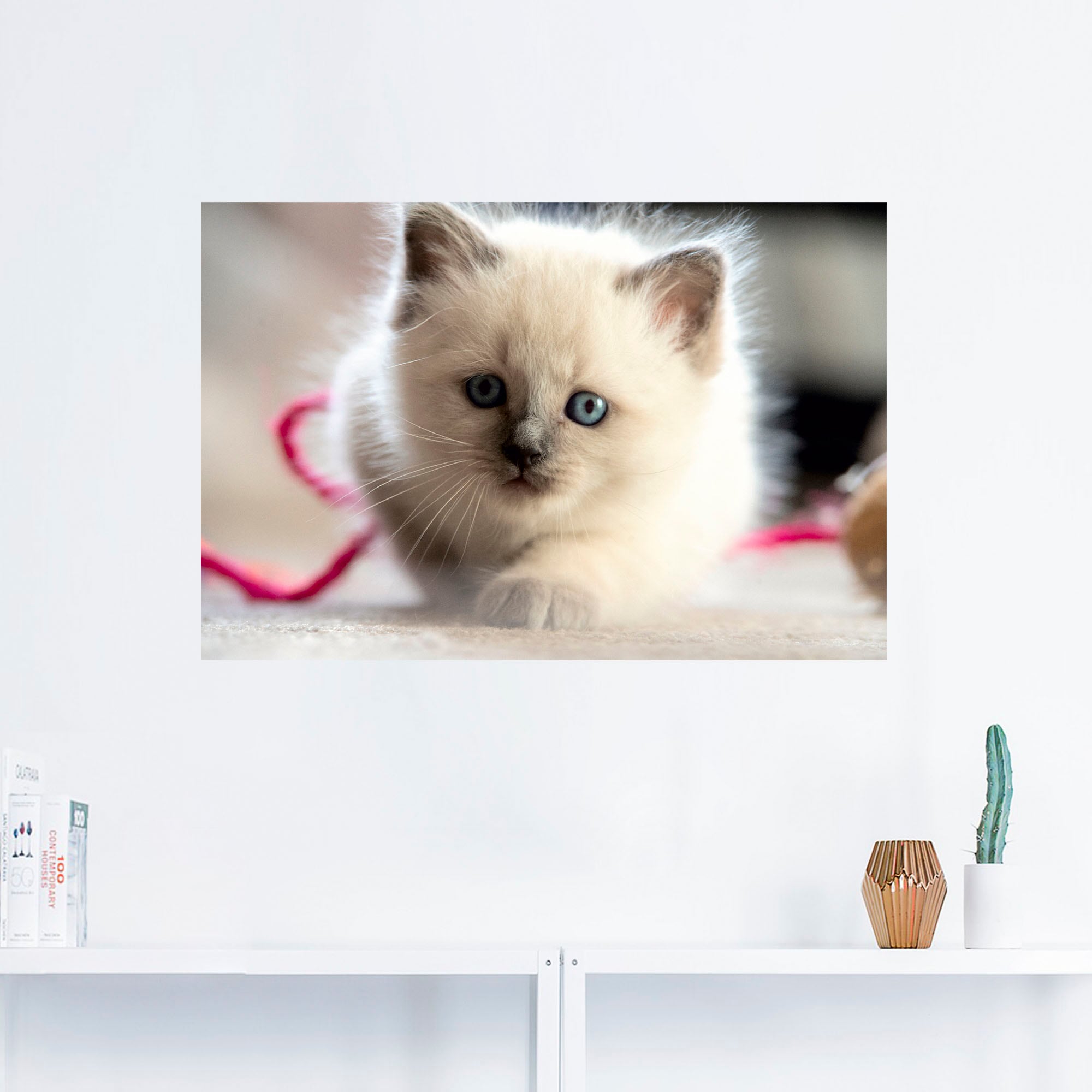 als Birma Wandbild Spiel«, Poster »Heilige | Alubild, Größen im Friday Katze Wandaufkleber Katzenbilder, BAUR Black oder (1 in Artland Leinwandbild, versch. St.),