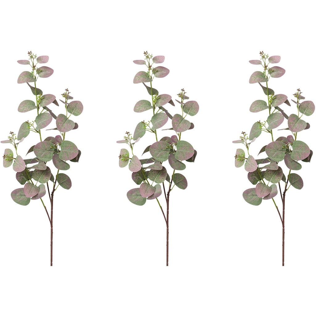 Creativ green Kunstzweig »Eukalyptuszweig«