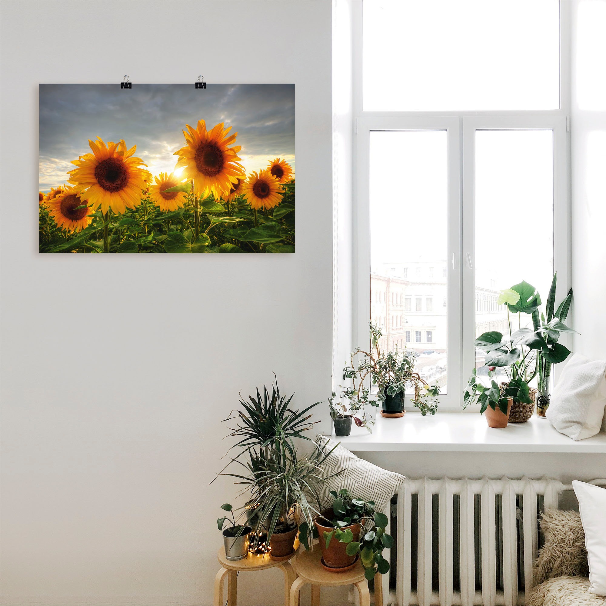 Artland Wandbild "Sonnenblumen II", Blumen, (1 St.), als Leinwandbild, Post günstig online kaufen