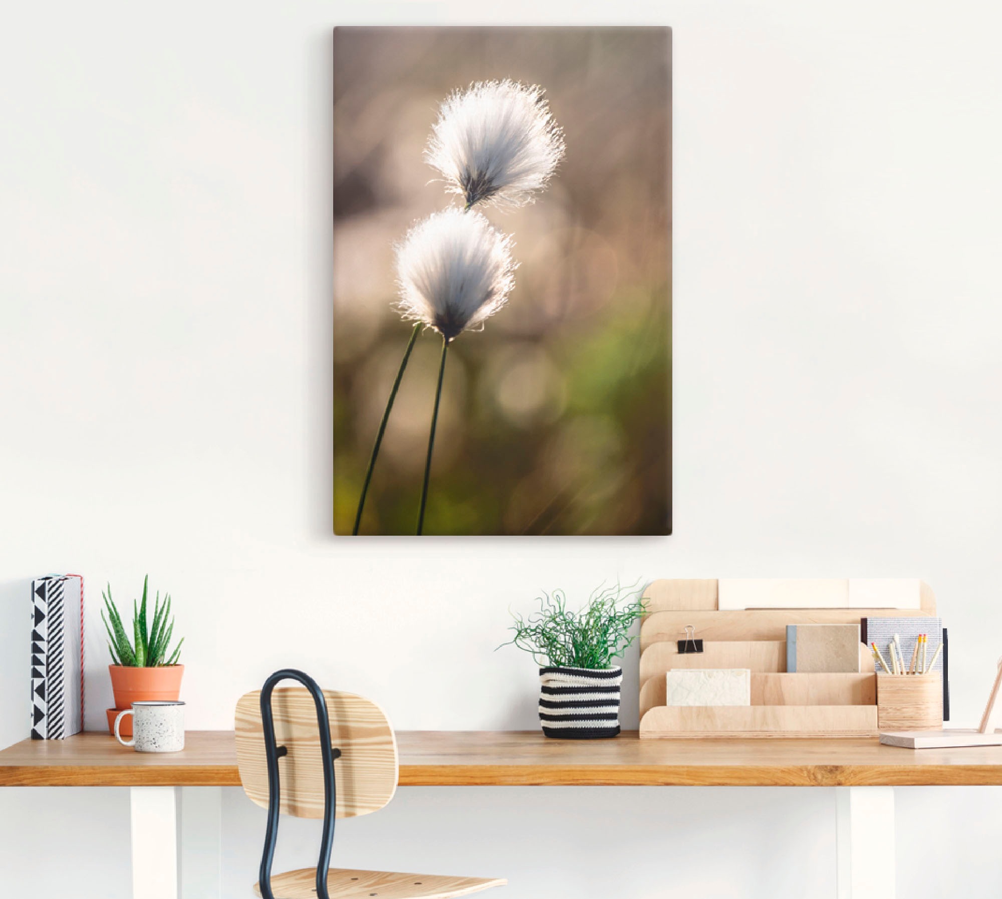 Artland Wandbild "Wollgras I" Gräser 1 Stk. tlg. auf Holzrahmen gespannt günstig online kaufen