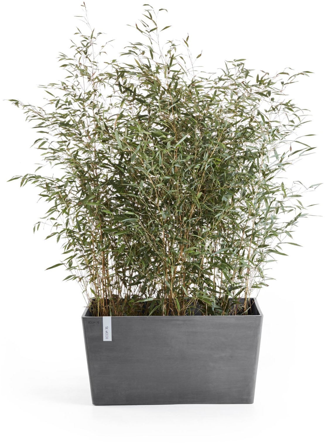 ECOPOTS Blumentopf »Paris« BxTxH: 60x26x40 cm