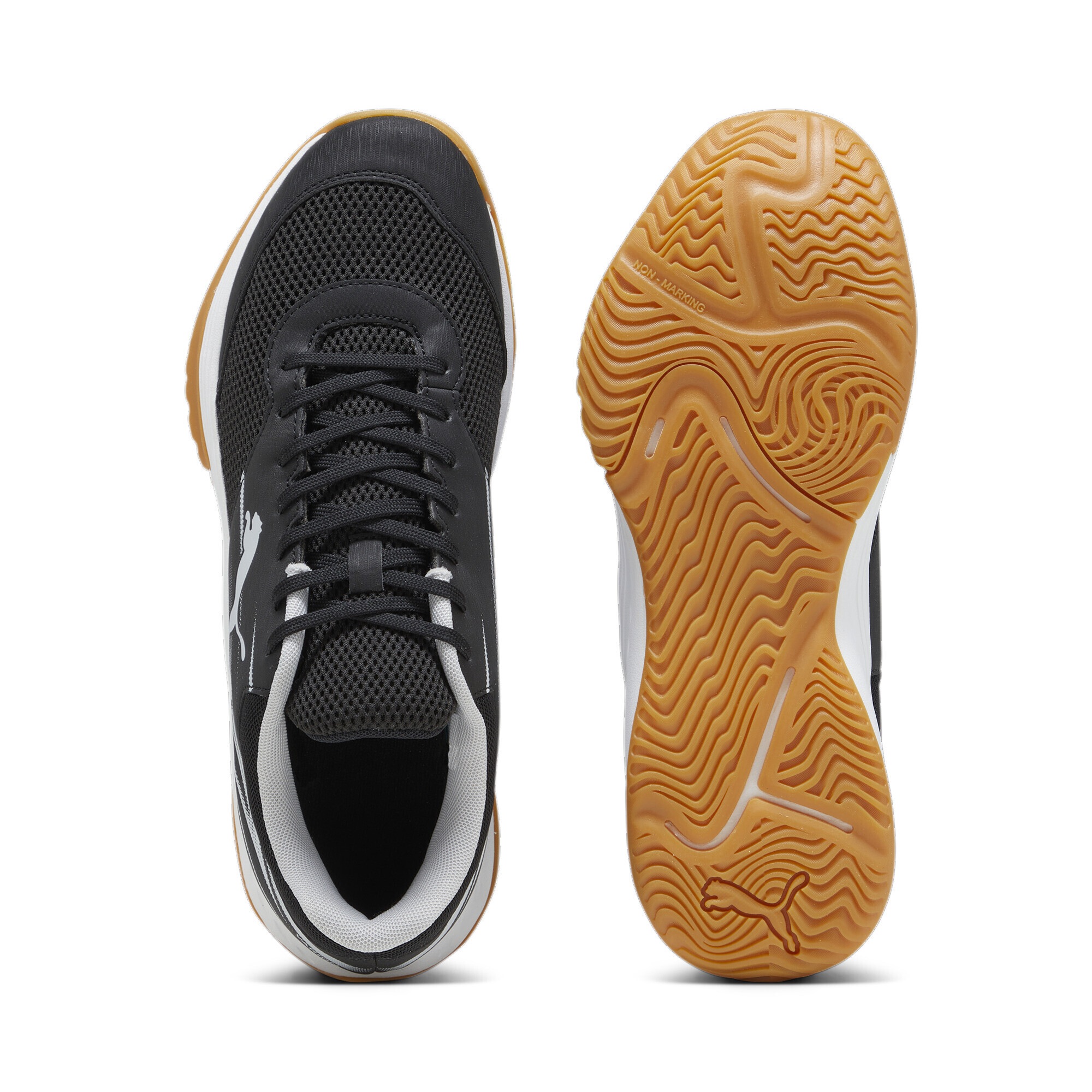 PUMA Sportbačiai »Varion II Handballschuhe Erwachsene«