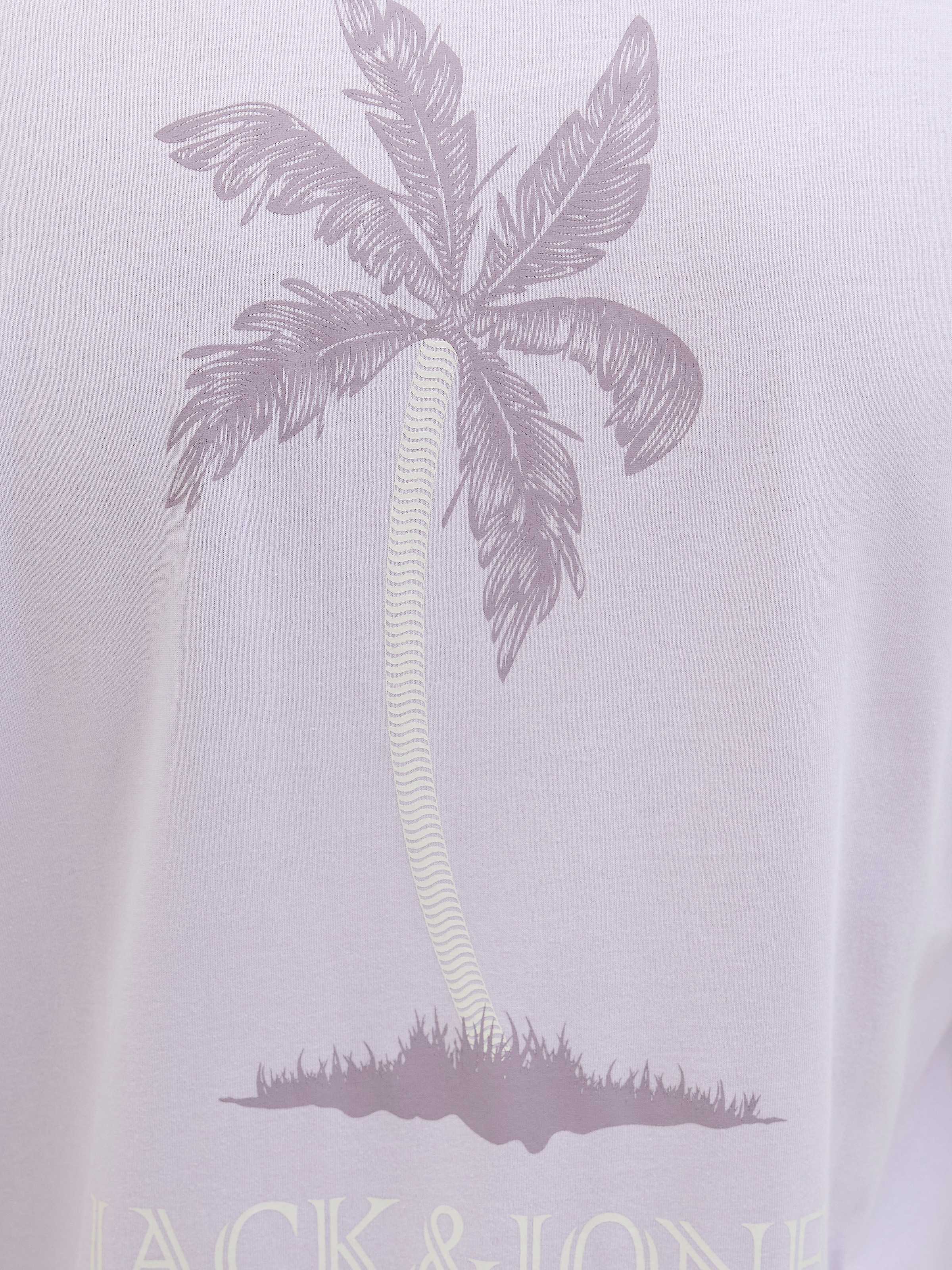 Jack & Jones Rundhalsshirt »JJSUMMER VIBES TEE SS CREW NECK LN«