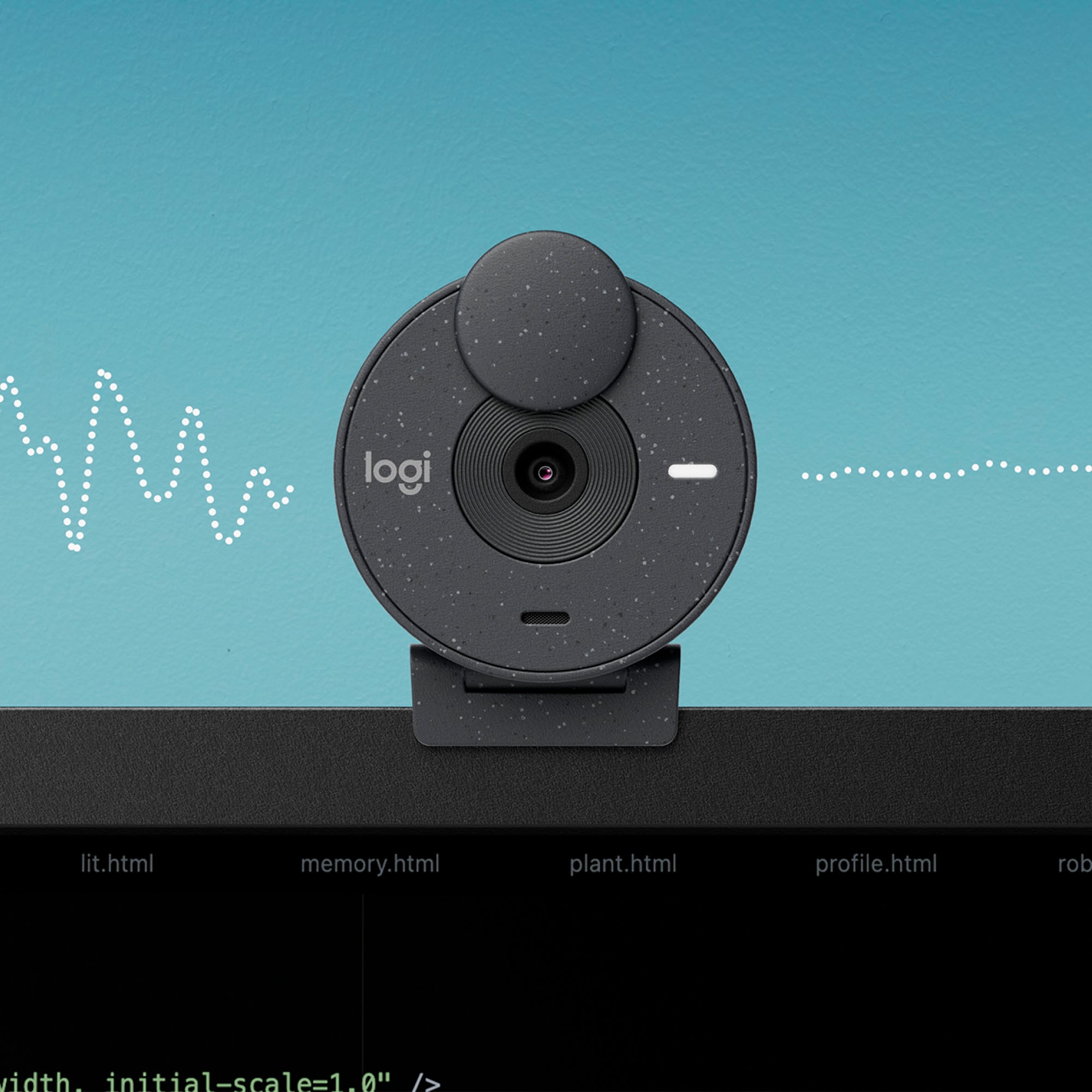 Logitech Webcam »BRIO 300«, Full HD, Mikrofon-Reichweite: Bis zu 1,22 m