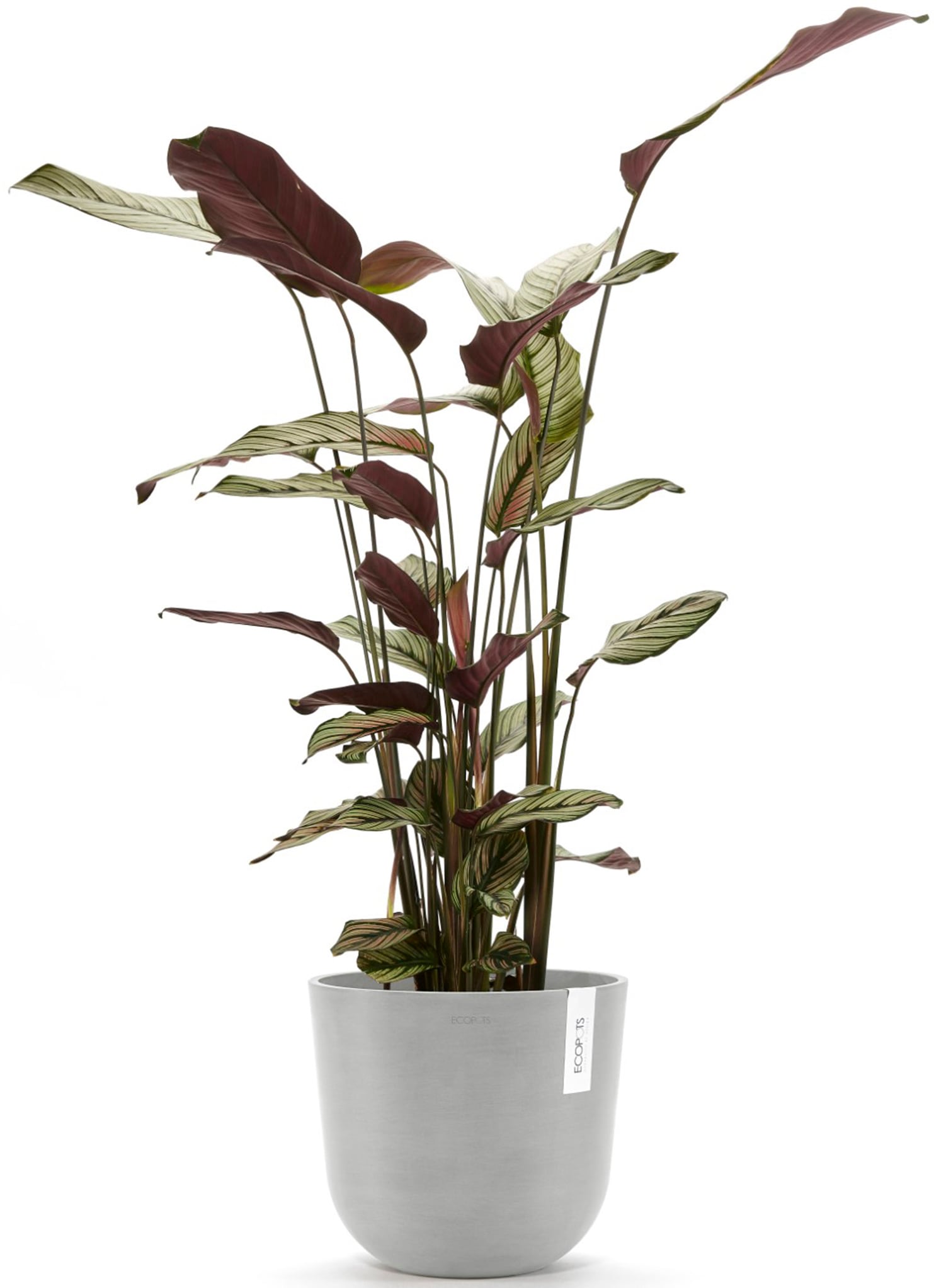 ECOPOTS Blumentopf »Oslo 25 + Wassersystem Weißgrau«, für innen und außen: frostsicher, bruchsicher und lichtbeständig