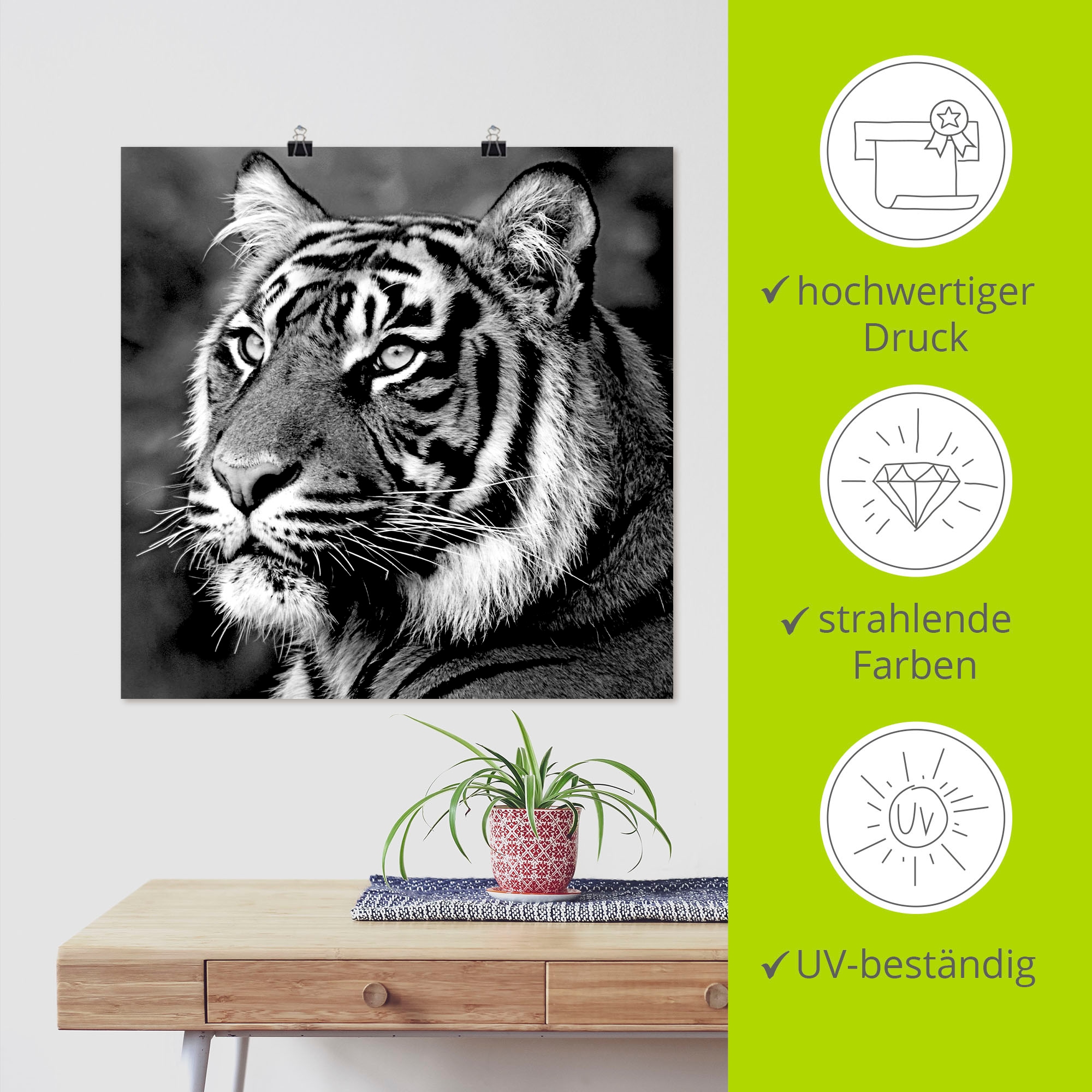 Artland Wandbild »Tiger«, Wildtiere, (1 St.), als Leinwandbild, Poster, Wandaufkleber in verschied. Größen