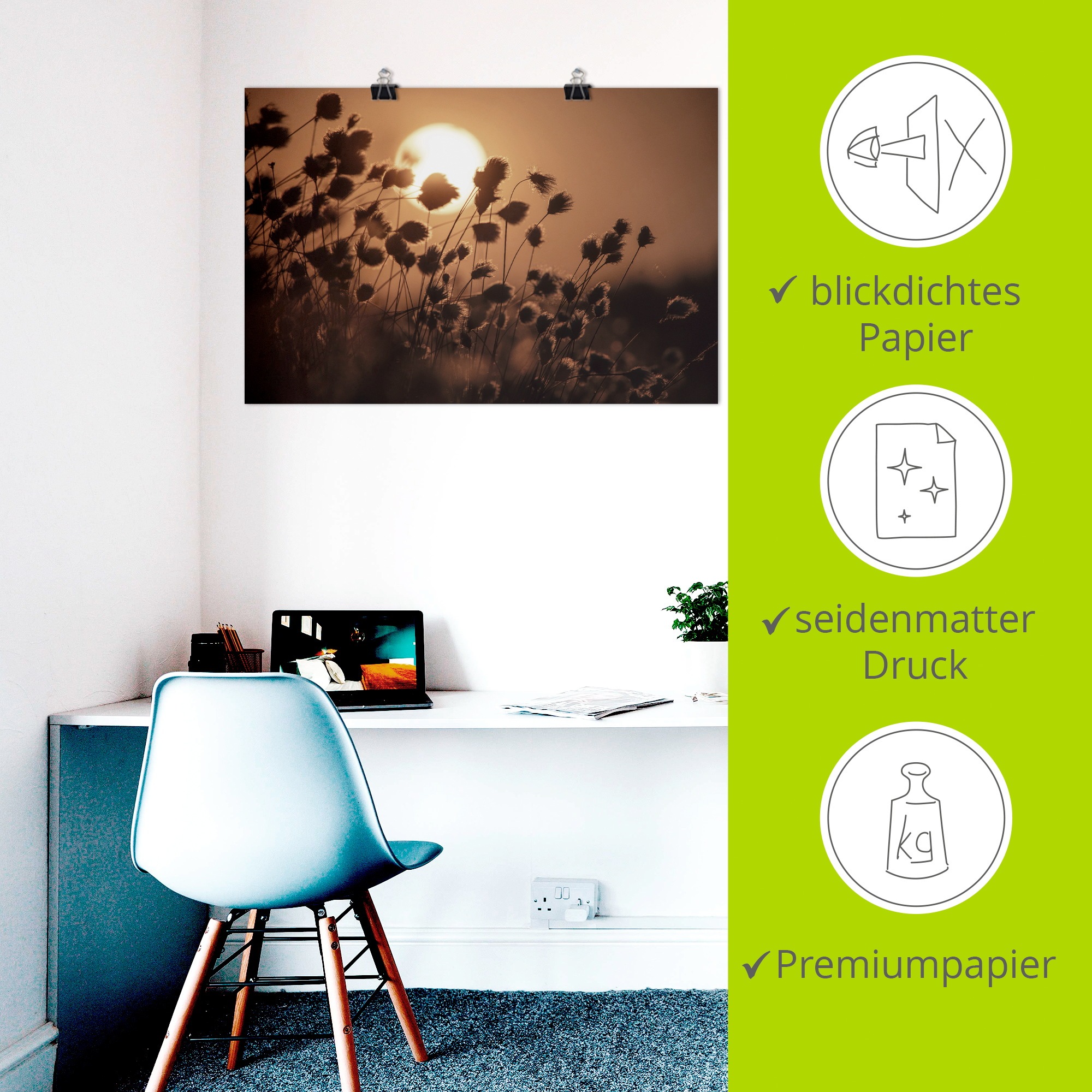 Artland Wandbild »Abendsonne - Tanz des Wollgrases« Gräser 1 Stk. tlg. als Alubild, Leinwandbild, Poster, Wandaufkleber in verschied. Größen