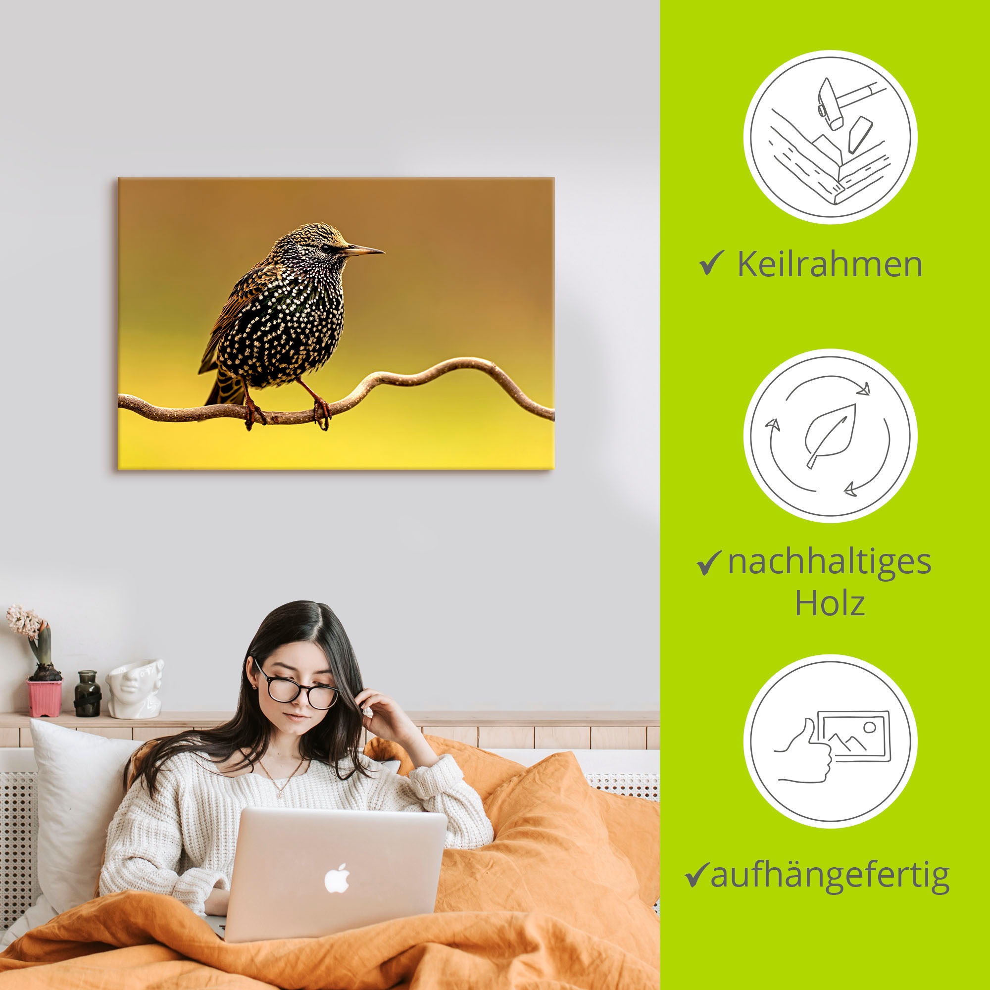 Artland Wandbild »Star«, Vogelbilder, (1 St.), als Leinwandbild, Poster in verschied. Größen