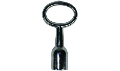 BASI Steckschlüssel »Dornschlüssel - 301V« kaufen