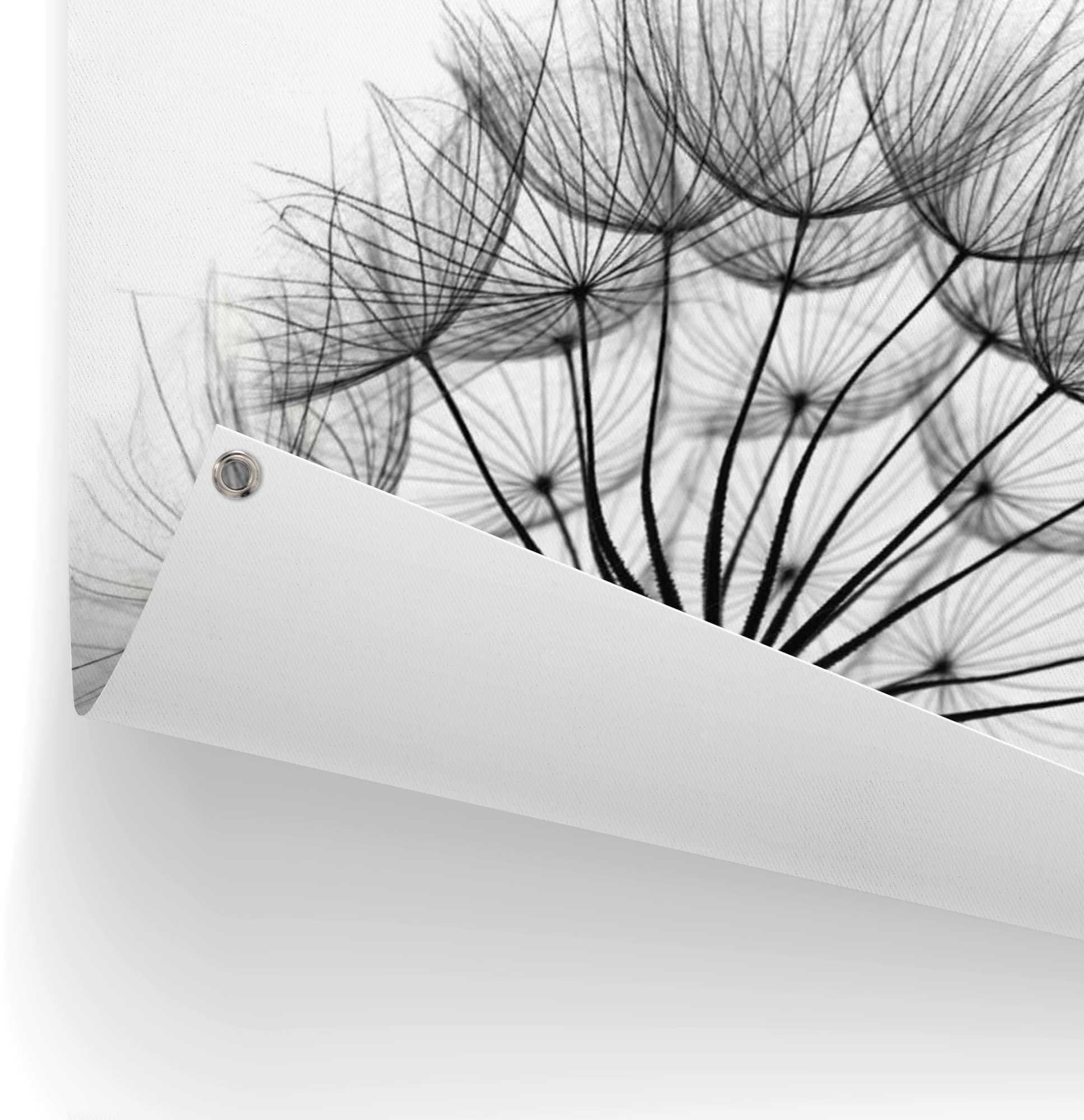 Reinders! Poster »Pusteblume«, leichtes und wasserfestes Gartenposter für den Außeneinsatz