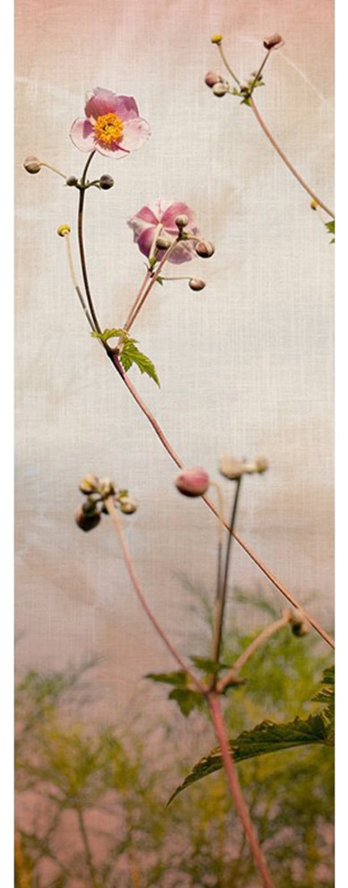 Architects Paper Fototapete "Romance" Floral Tapete Blumen Fototapete Natur Panel 1,00m x 2,80m
