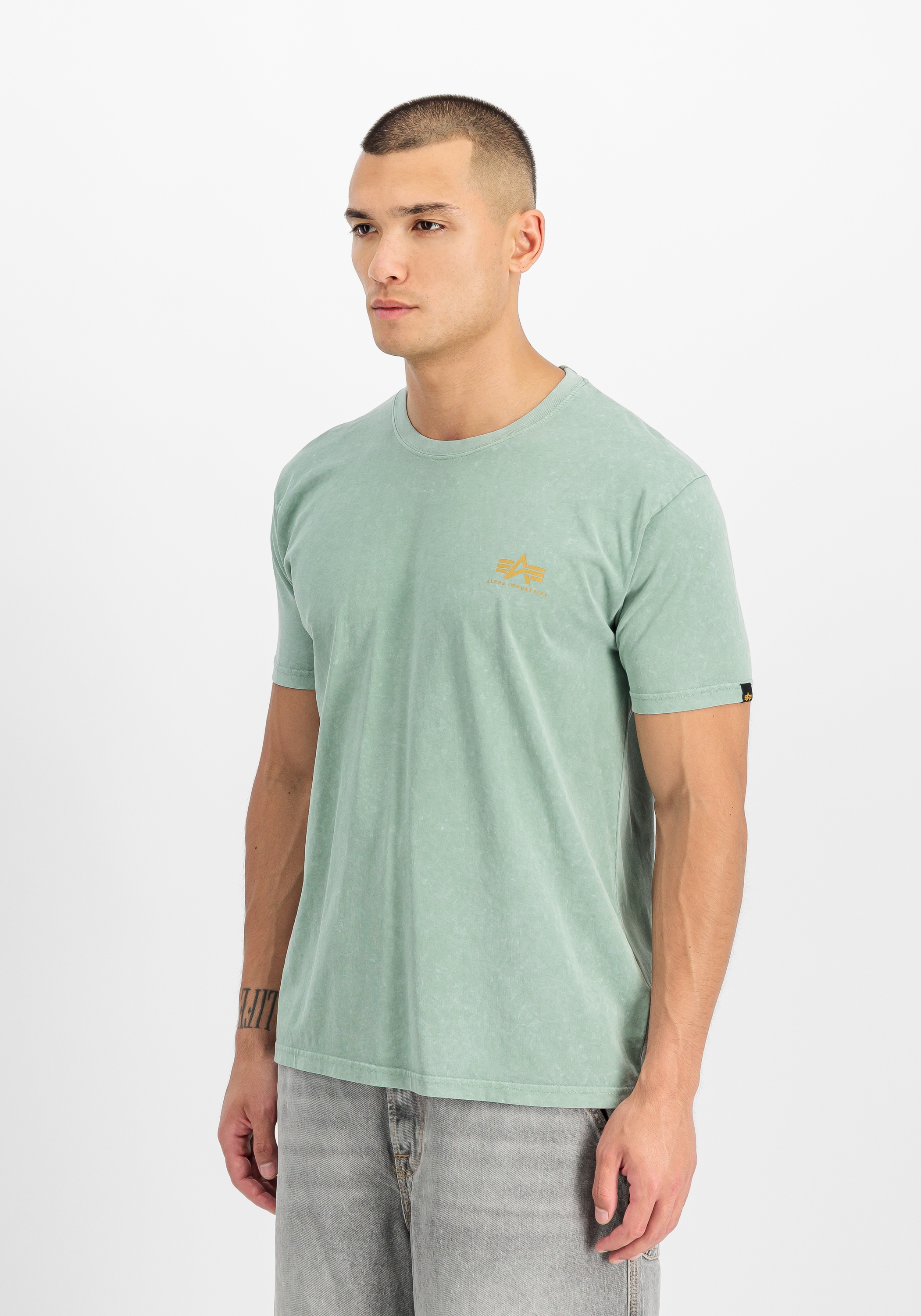 Alpha Industries T-Shirt »Alpha Legend T-Shirt«