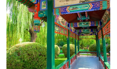 Fototapete »PAVILLON-PEKING PERGULA GASSE PARK BLUMEN GARTEN BÄUME«