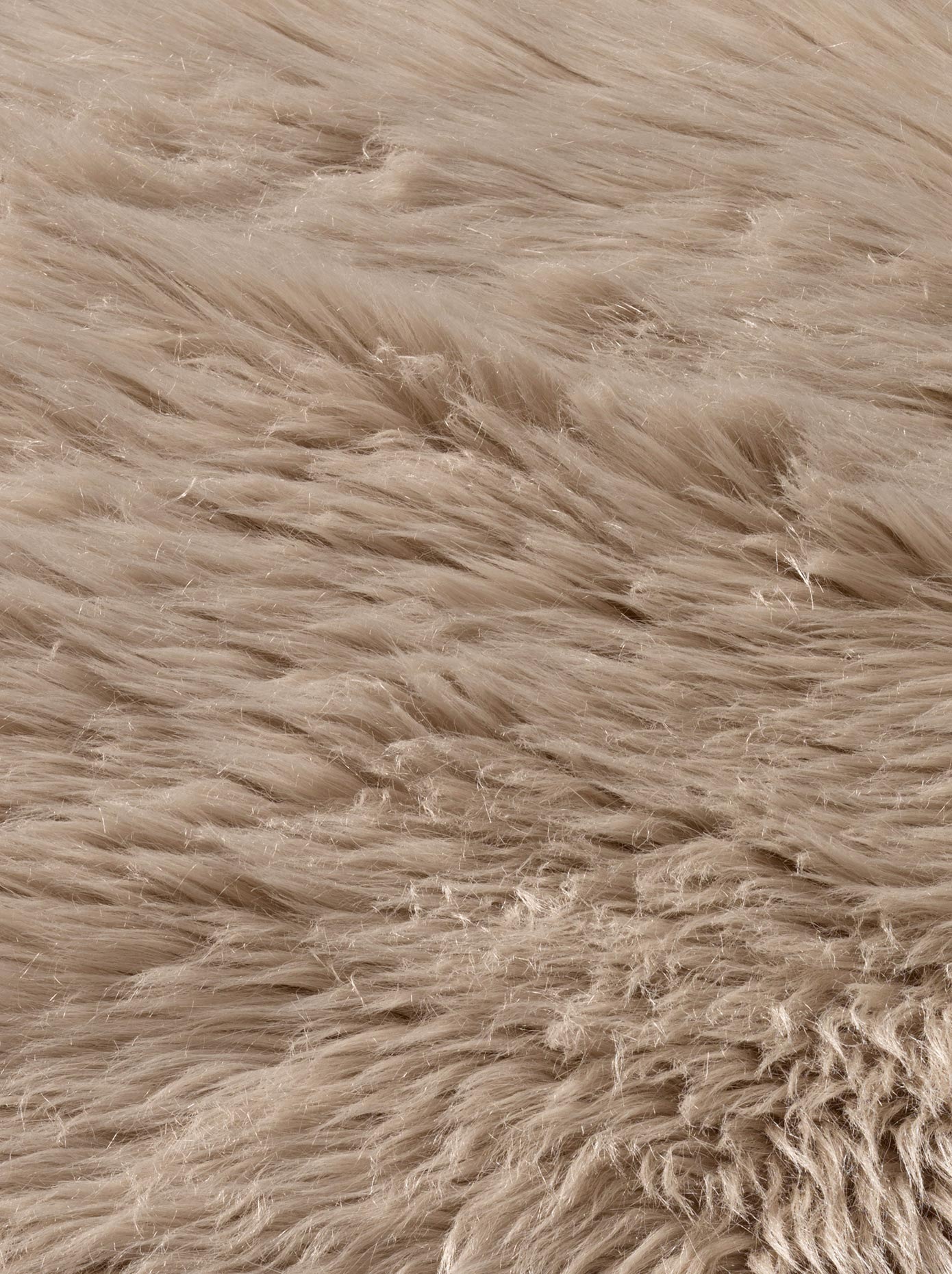heine home Teppich rechteckig 70 mm Höhe günstig online kaufen