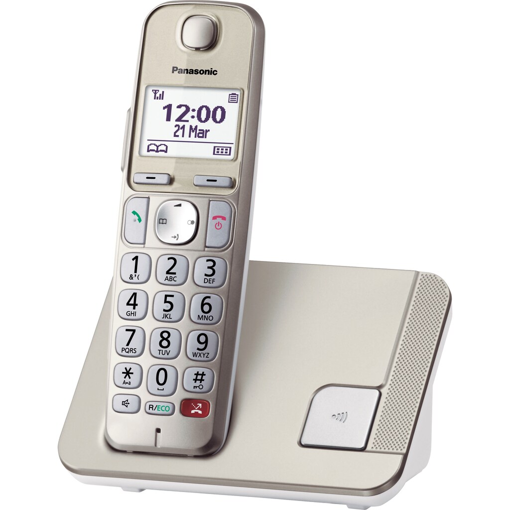 Panasonic DECT-Telefon »KX-TGE250GN«, (Mobilteile: 1)