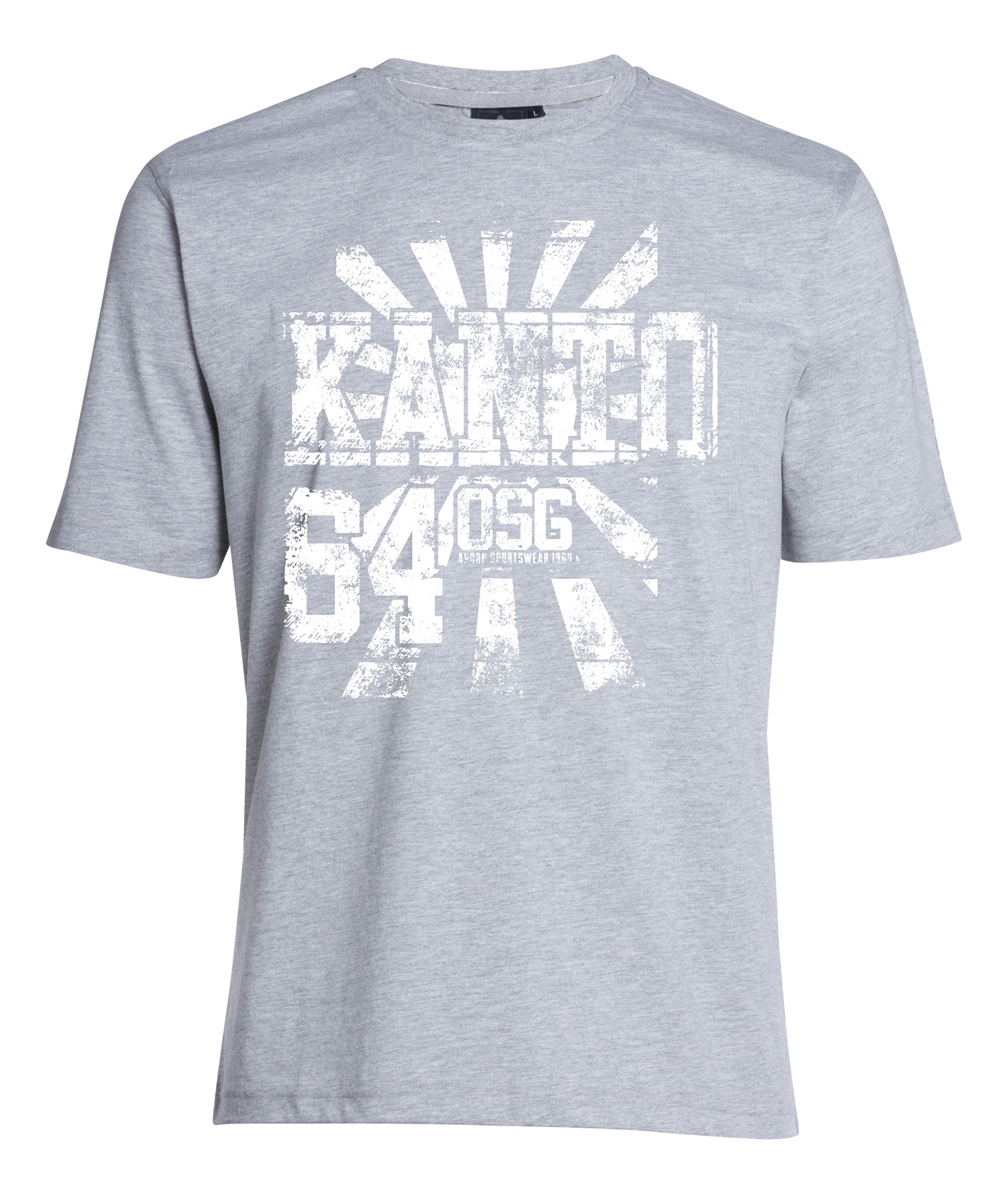 AHORN SPORTSWEAR T-Shirt »KANTO_white«, mit trendigem Frontprint