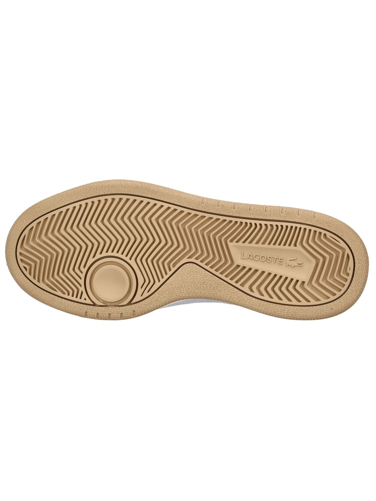 Lacoste Sneaker »lacoste Sneaker Lederimitat«