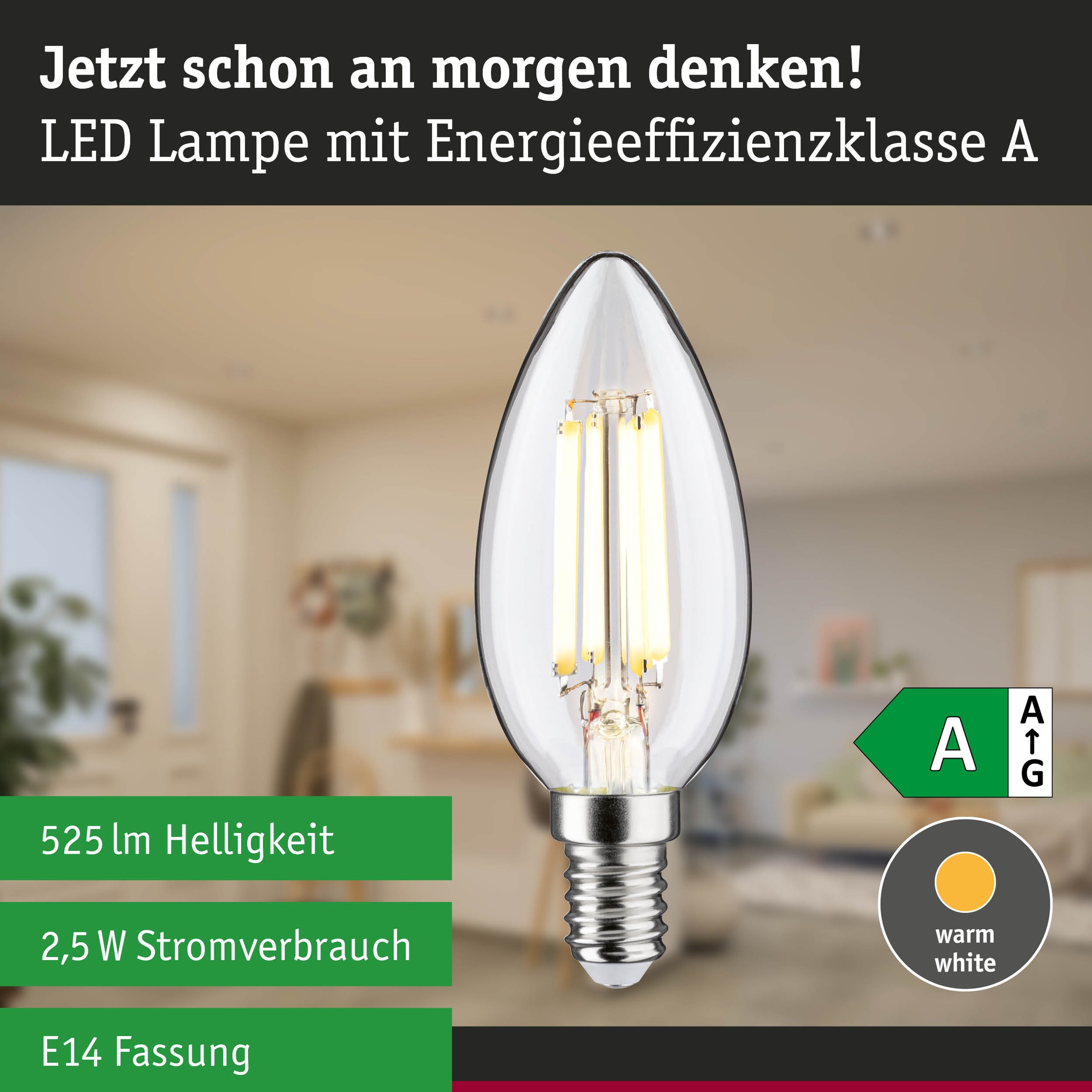 Paulmann LED-Leuchtmittel »Efficient-Line Filament 230V LED Kerze E14 1 St. 525lm 2,5W 3000K Klar« E14 1 Stk. Warmweiß