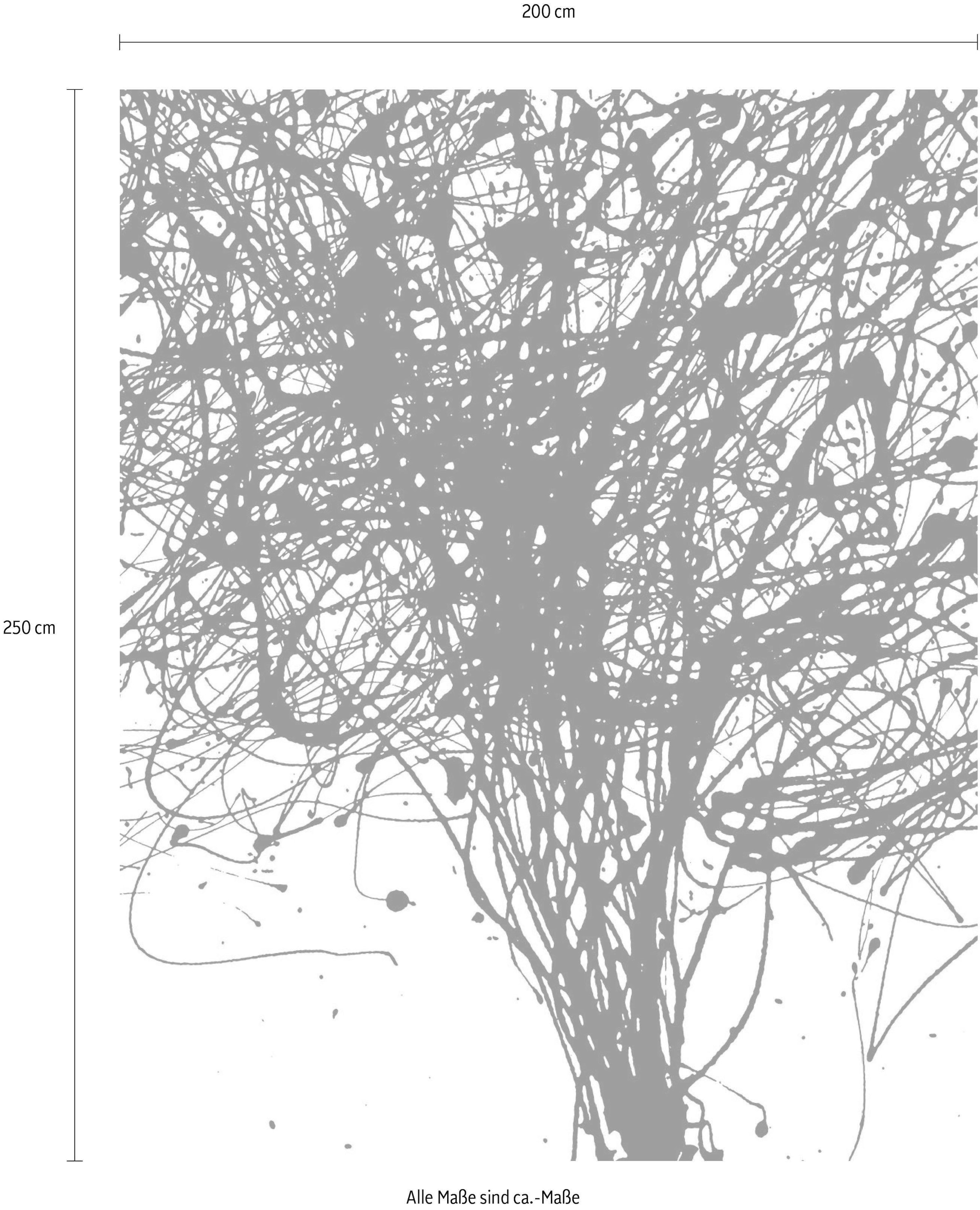 Komar Vliestapete »Curls« (Breite x Höhe)
