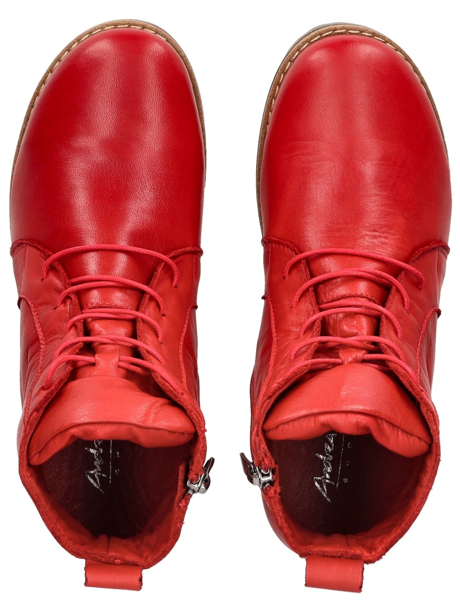 Andrea Conti Schnürstiefelette »Andrea Conti Stiefelette Leder«