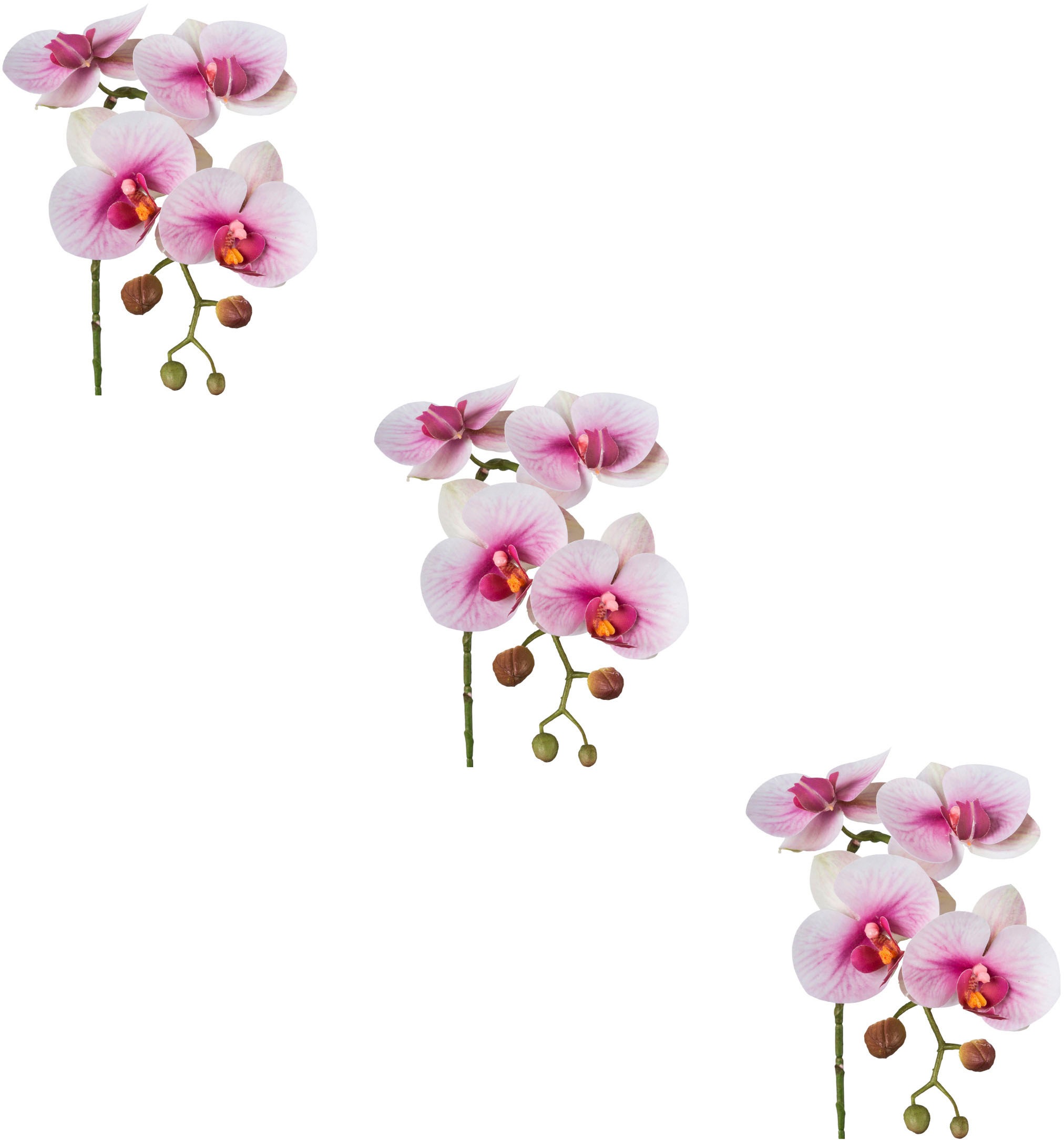 Creativ green Kunstblume »Phalaenopsis 3D-print«, mit Real-Touch-Blüten