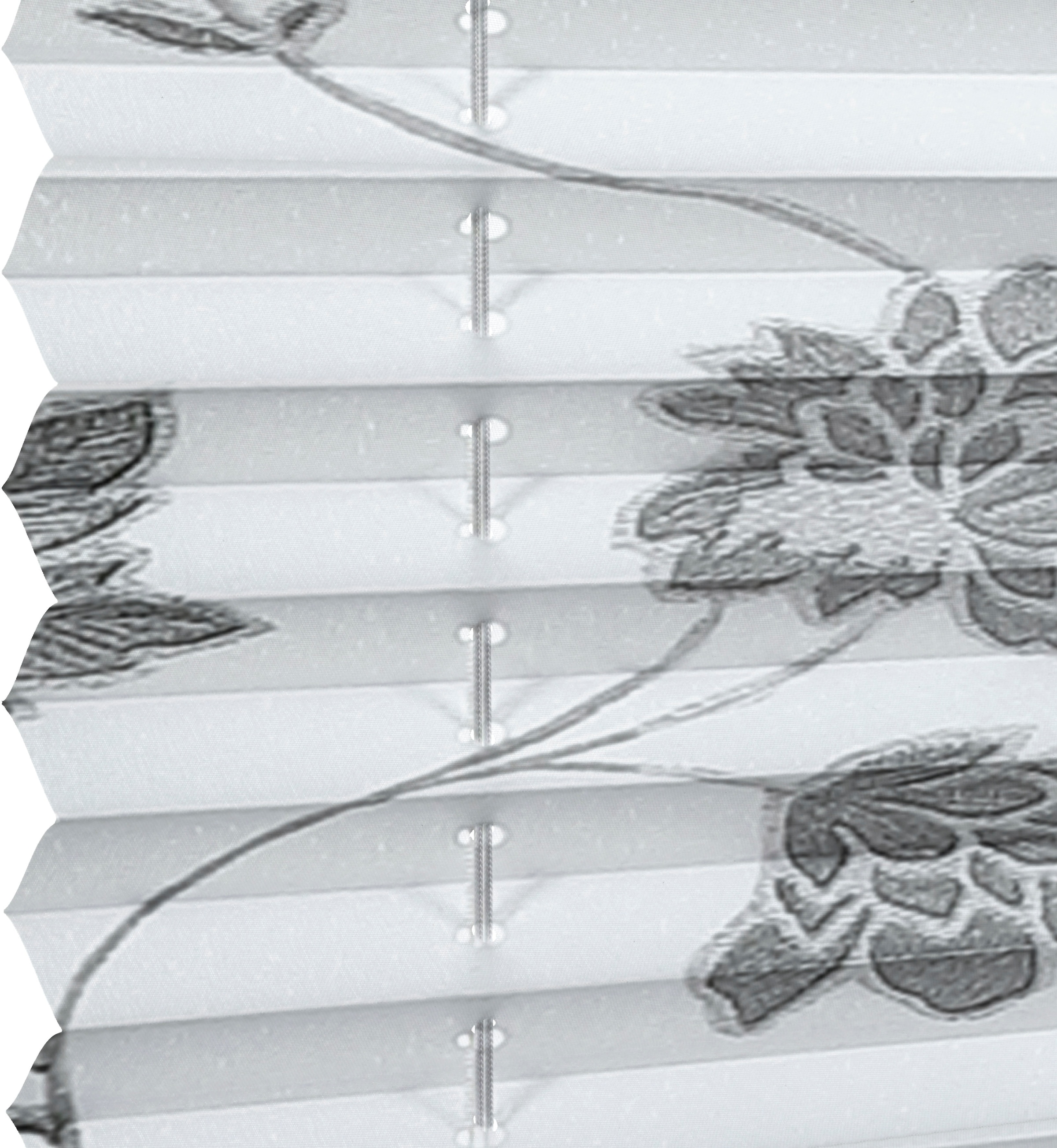 GARDINIA Plissee »Plissee Concept zum Klemmen Flowers and Plants Blüte«,  blickdicht, ohne Bohren, in der Breite kürzbar bestellen | BAUR