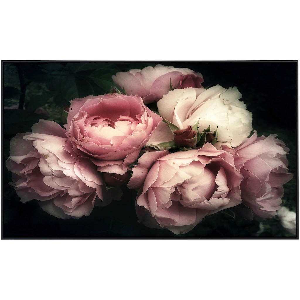 Papermoon Infrarotheizung »Blumen«