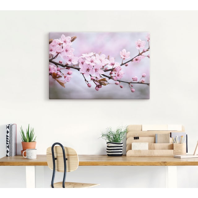 Artland Wandbild »Kirschblüten«, Blumen, (1 St.), als Alubild,  Leinwandbild, Wandaufkleber oder Poster in versch. Größen kaufen | BAUR