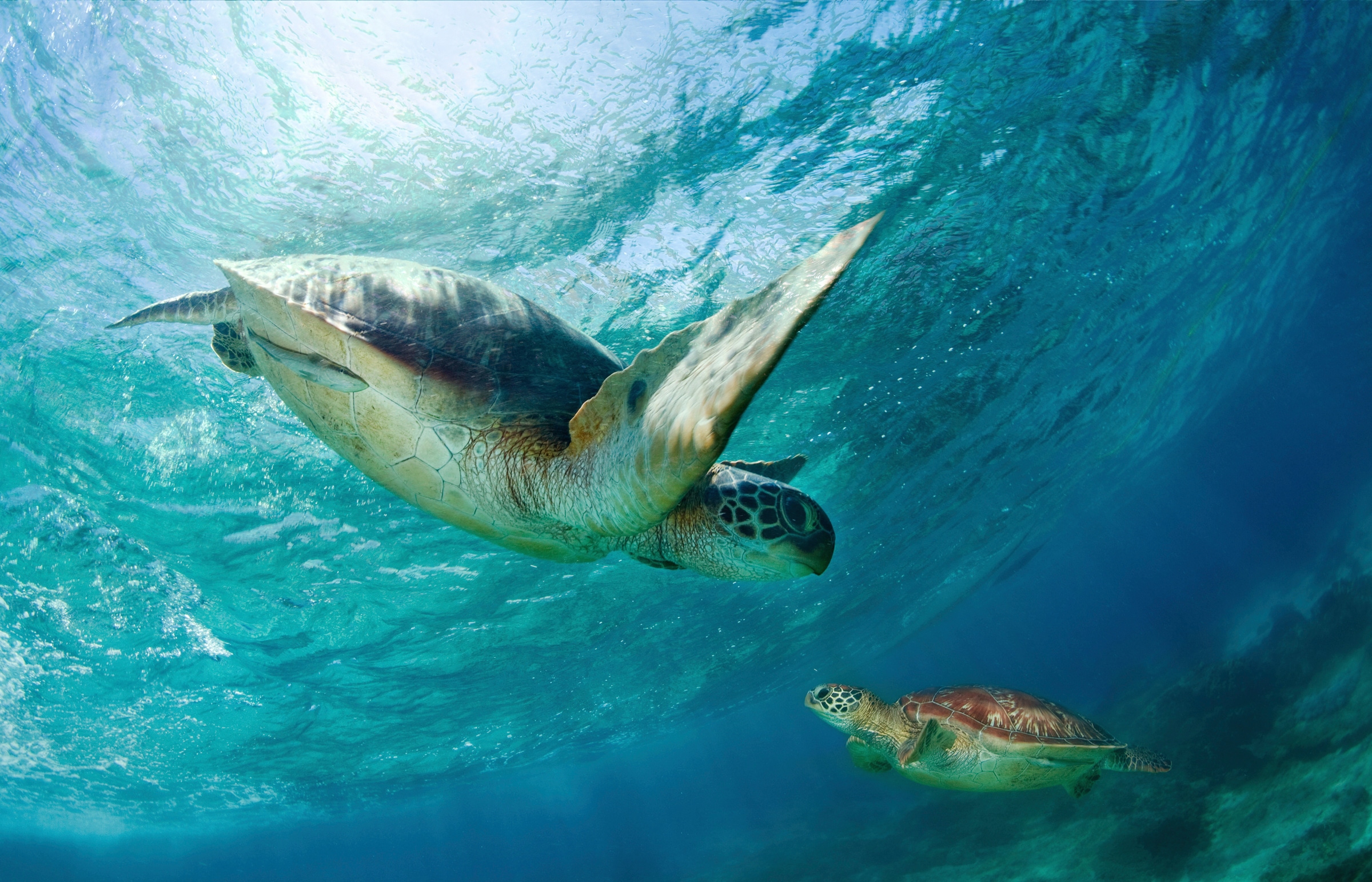 PAPERMOON Fototapete "Photo-Art ANDREY NARCHUK, KONTAKT", B/L: 2,5mm x 1,86mm, Bahnen: 5 Stk. St., bunt, Schlafzimmer, Tapeten