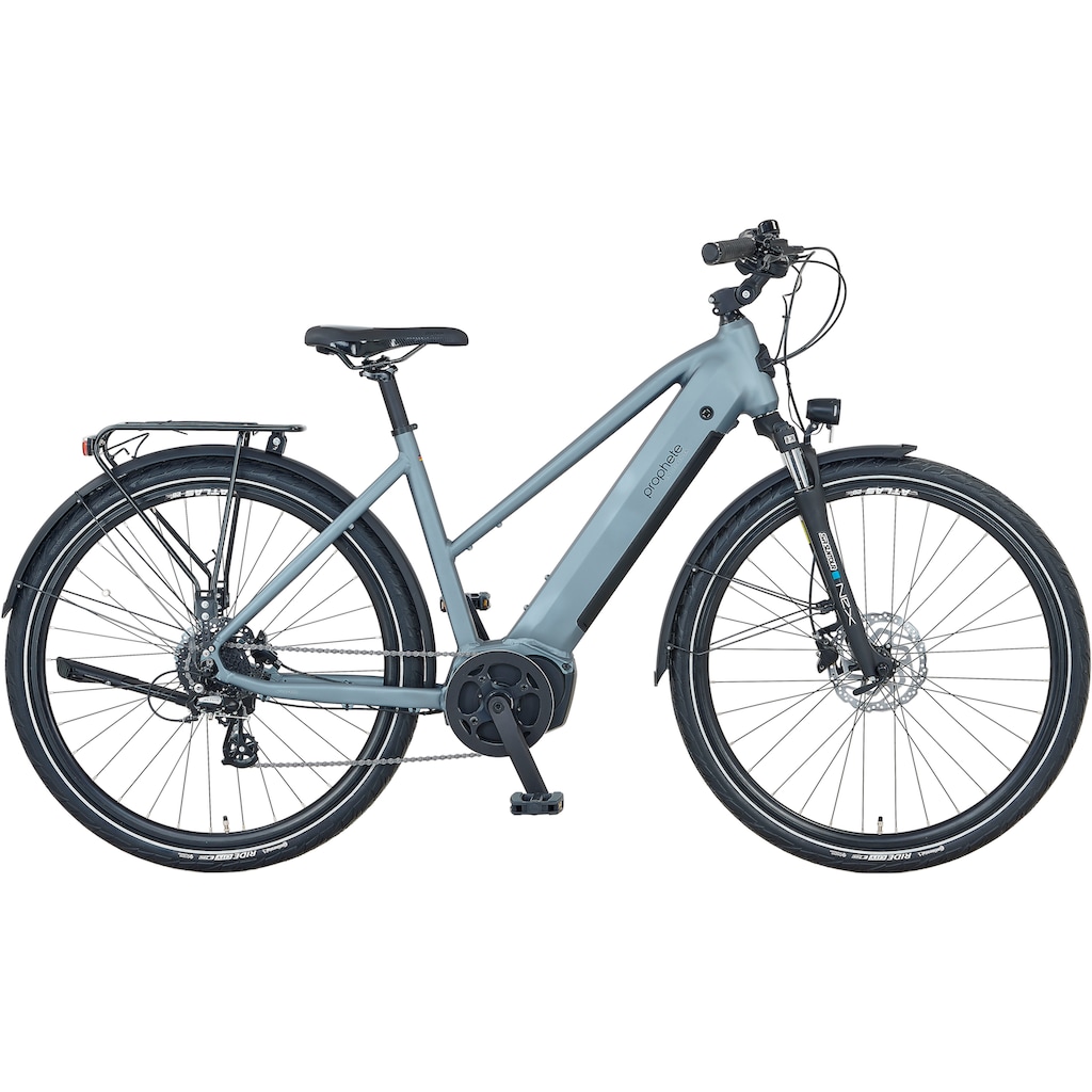 Prophete E-Bike »Prophete E-Bike Entdecker 3.8«, 8 Gang, Shimano, Altus, Mittelmotor 250 W