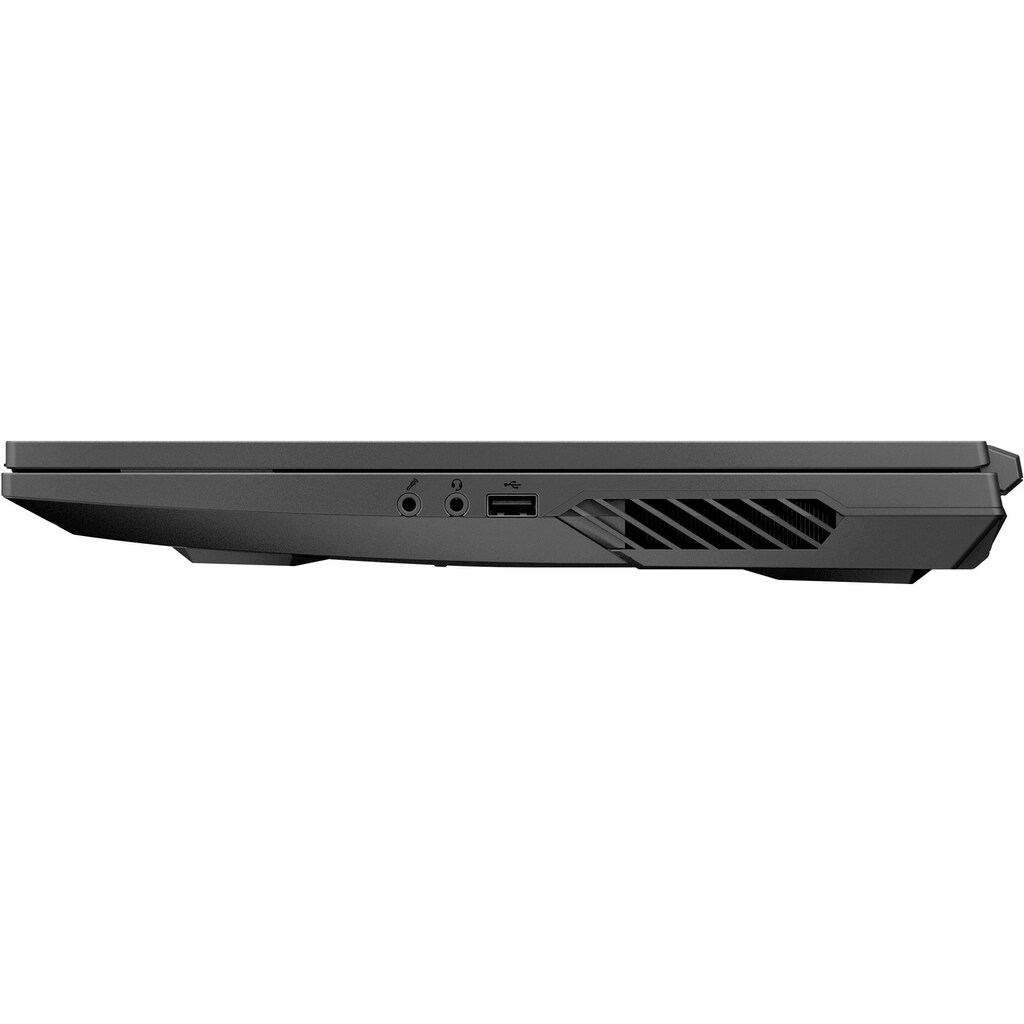Medion® Gaming-Notebook »Defender P15«, 43,9 cm, / 17,3 Zoll, AMD, Ryzen 7, GeForce RTX 3060, 1000 GB SSD