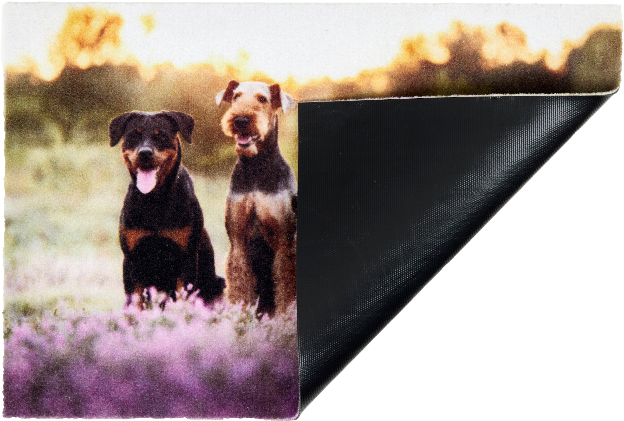 ASTRA Fußmatte »Deco Print 107« rechteckig 5 mm Höhe Sauberlaufmatte, Türmatte, waschbar, Eingangsbereich, rutschfest