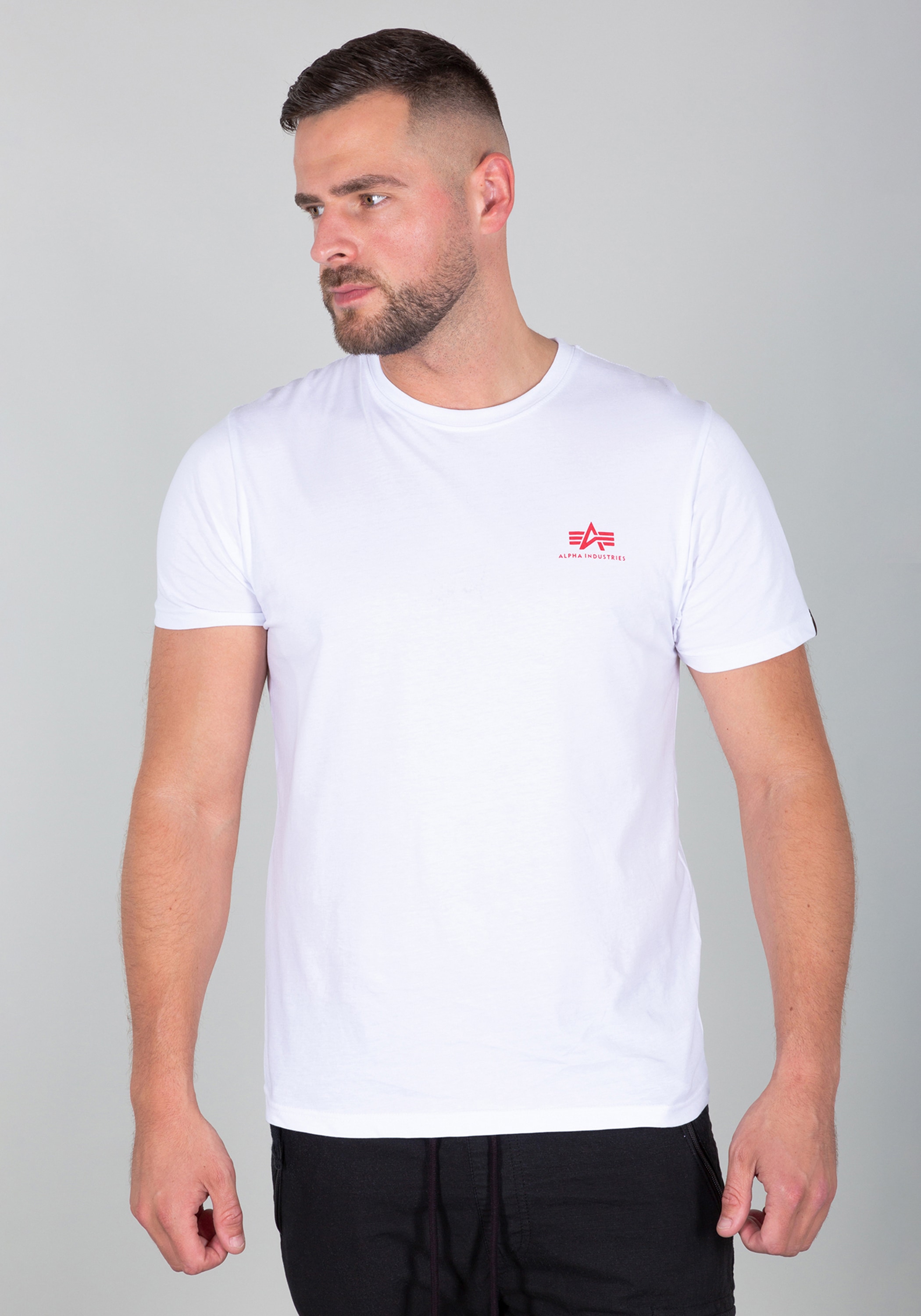 Alpha Industries T-Shirt »Alpha Industries Men - T-Shirts Backprint T«