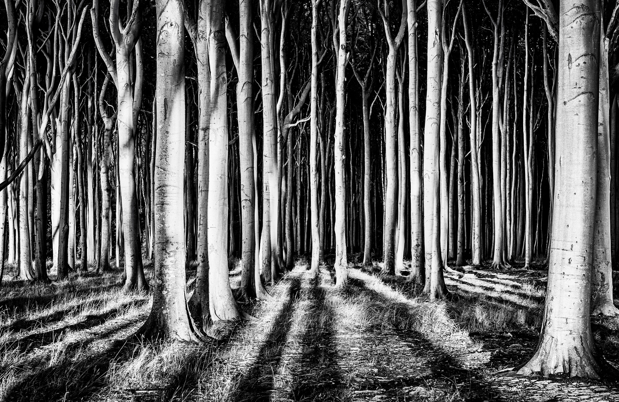 Papermoon Fototapetas »Photo-Art PIXXELPARK GEIS...