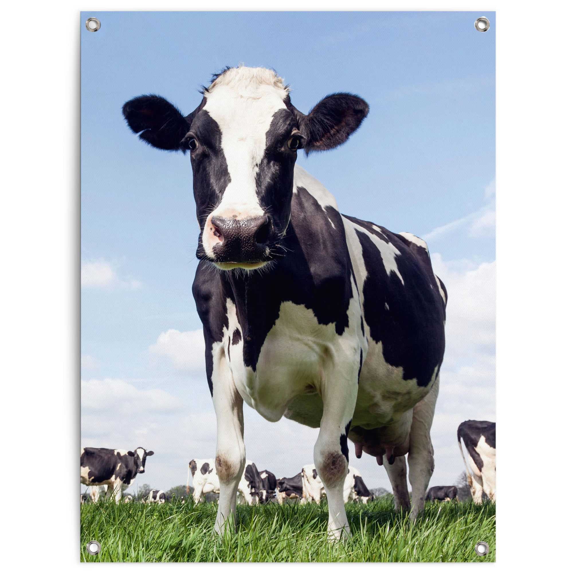 Reinders Poster "Dutch Cow", Garten - Kuh - Wiese - Grün - Leinwand - Tiere günstig online kaufen