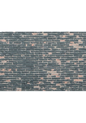 Komar Vliestapete »Painted Bricks« 368x248 c...