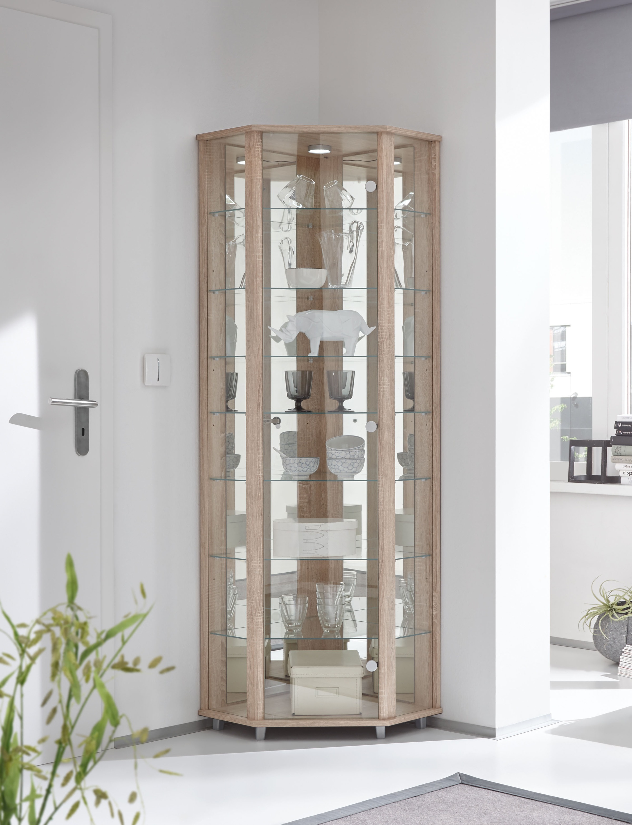 fif möbel Eckvitrine »TRIO Höhe ca. 172 cm, ink. Beleuchtung« Eckvitrine/Glasvitrine 1x Glastür, perfekt für Sammler, Sammlervitrine