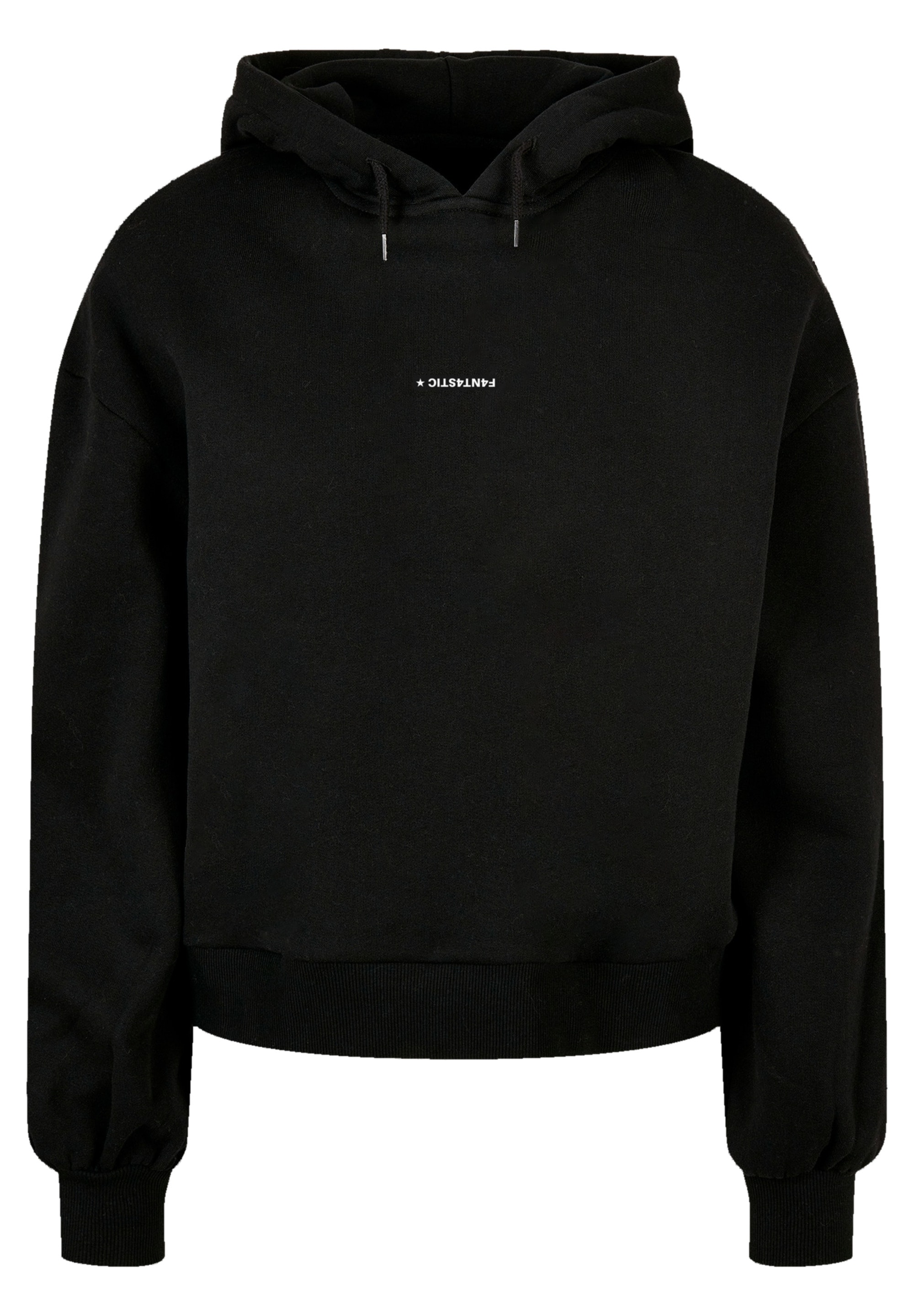 F4NT4STIC Kapuzenpullover »MOUNTAIN x F4NT4STIC«, Print