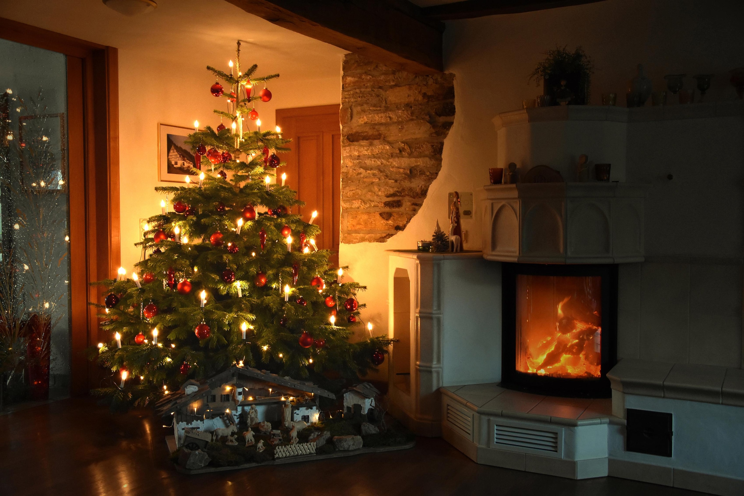 Echte Nordmanntanne von Weihnachtsbaumland kaufen | BAUR