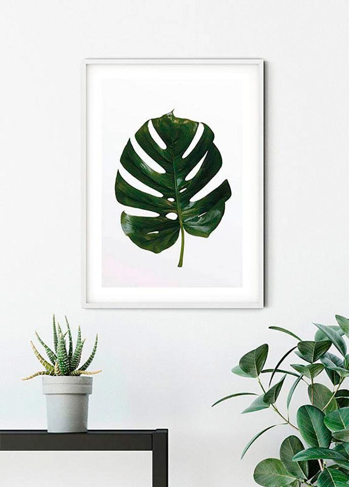 Komar Poster "Monstera Leaf", Pflanzen-Blätter, (1 St.), Kinderzimmer, Schlafzimmer, Wohnzimmer