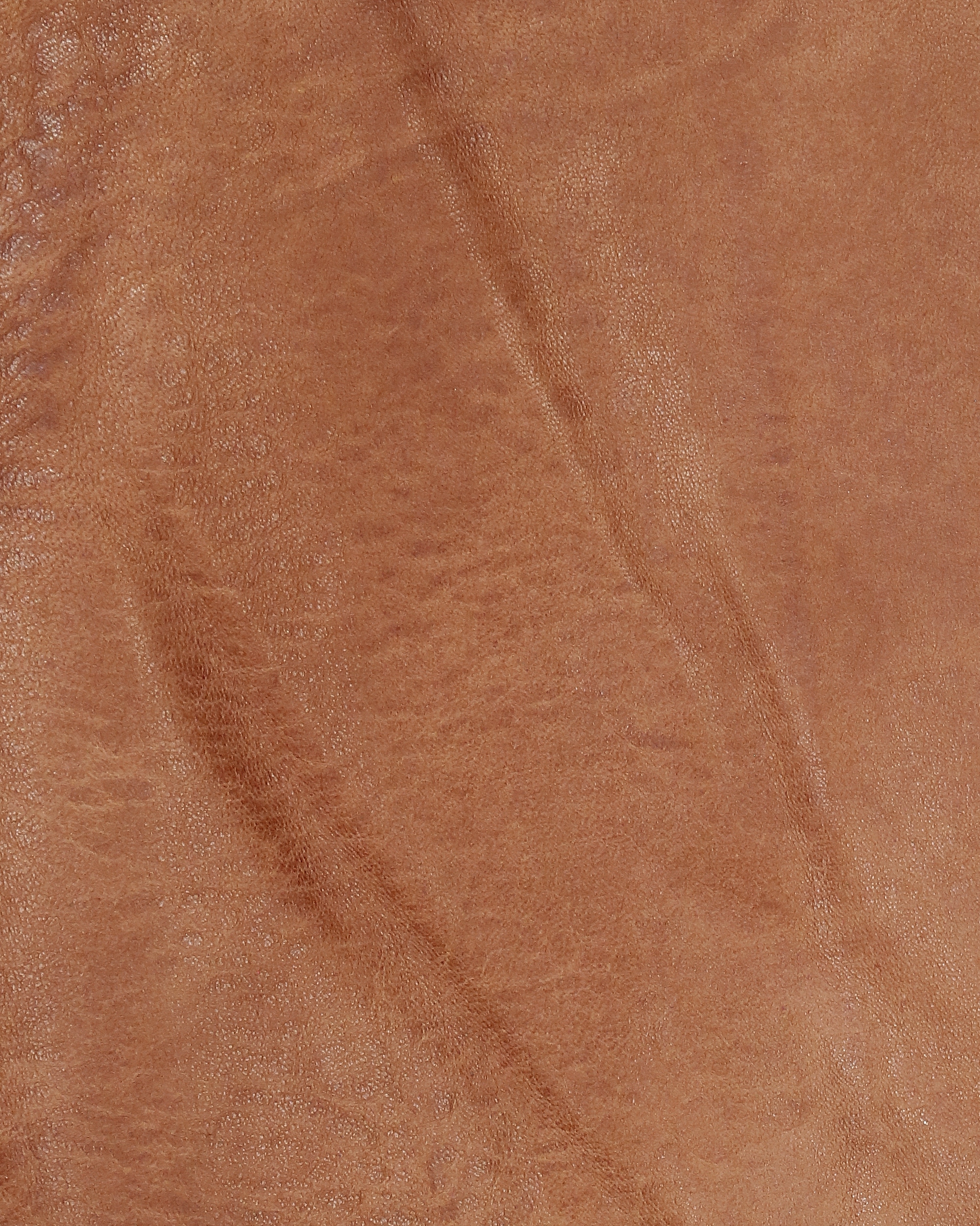 MUSTANG Lederjacke »Wellington«