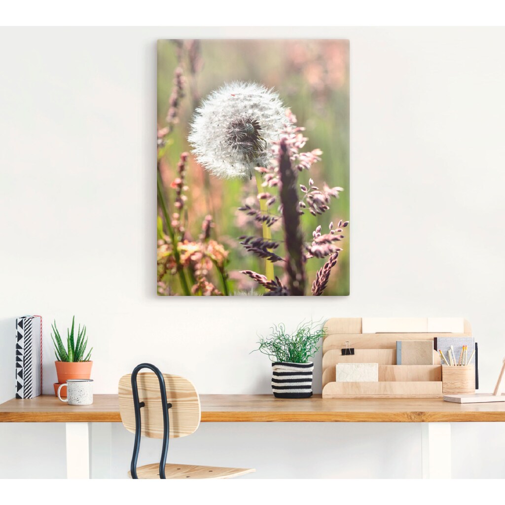 Artland Wandbild »Pusteblume III«, Blumen, (1 St.)