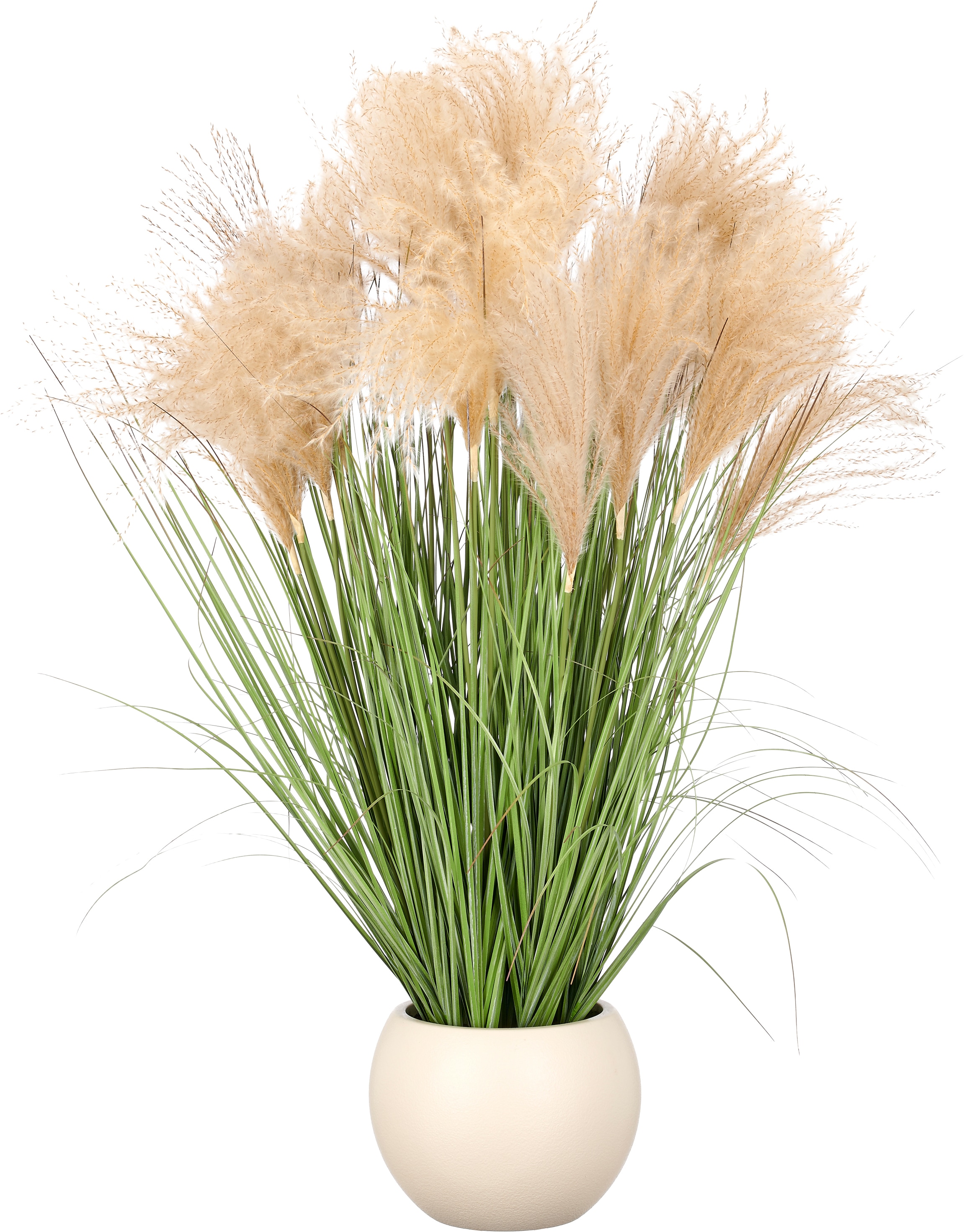 Creativ green Kunstgras "Grasbusch Pampas" mit üppigen Wedeln