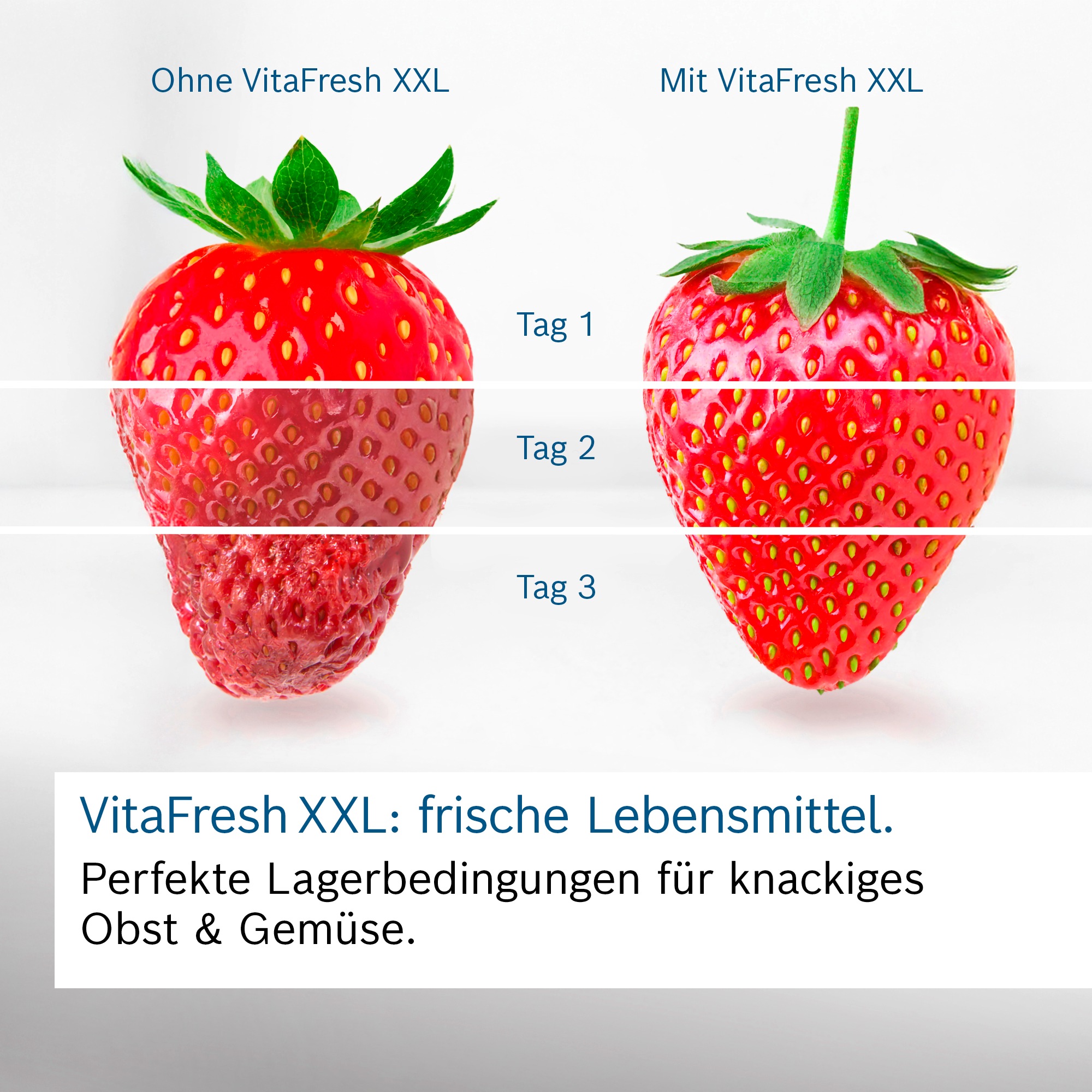BOSCH Kühl-/Gefrierkombination "KGV36VLEA" 186 hoch 60 breit günstig online kaufen