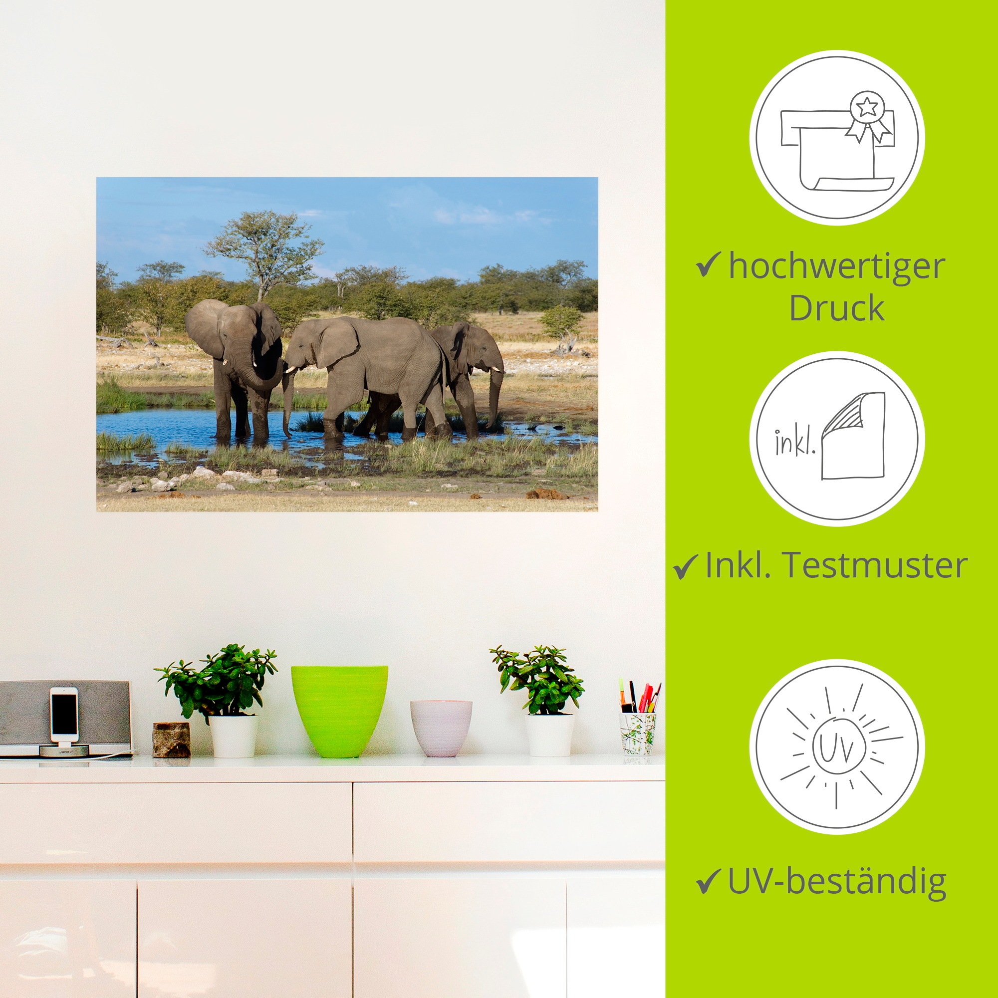 Artland Wandbild »Afrikanischer Elefant EtoshaNationalpark«, Elefanten Bilder, (1 St.), als Leinwandbild, Wandaufkleber in verschied. Größen