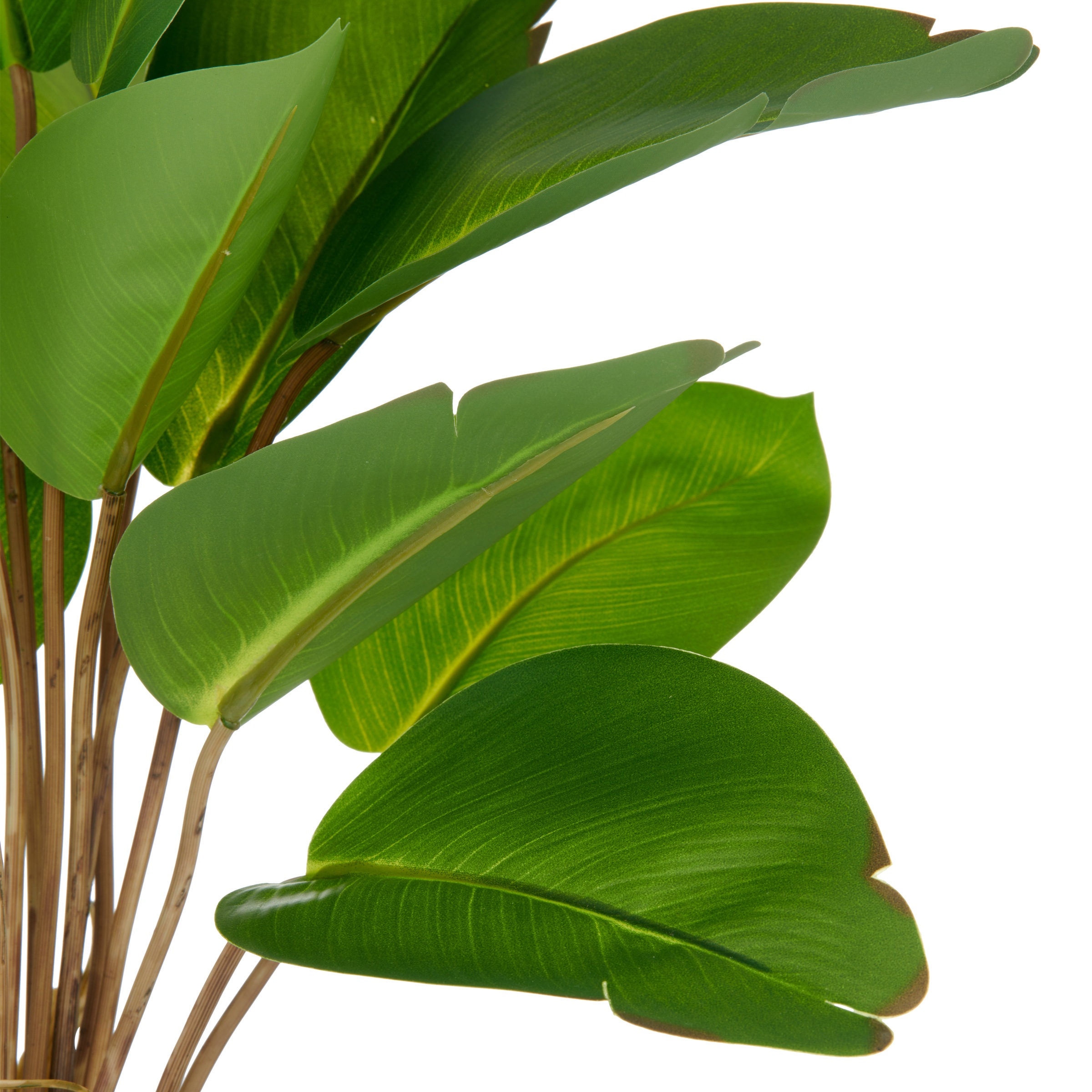 Creativ green Kunstpflanze »Philodendron«, mit naturgetreuem Blattwerk