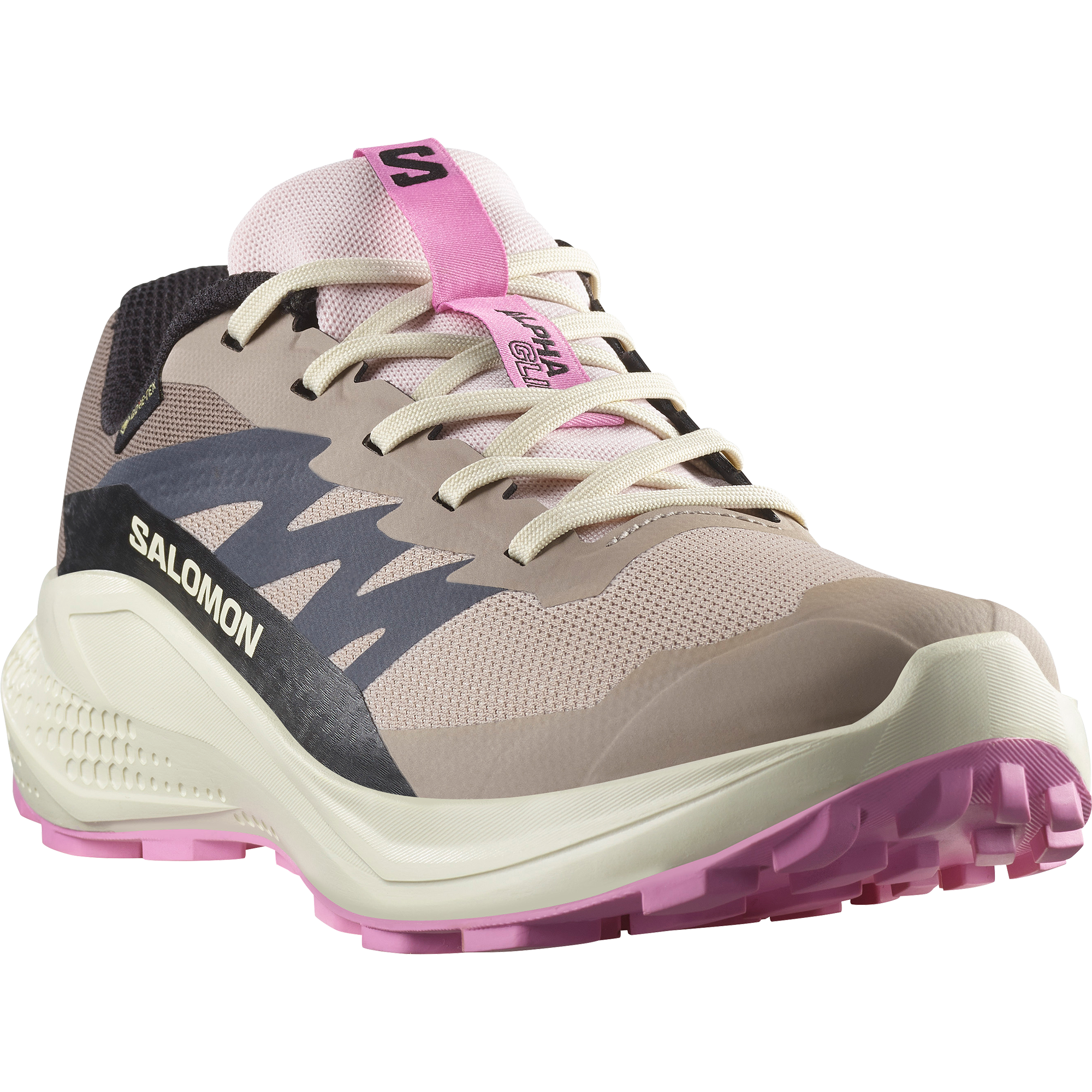 Salomon Laufschuh "ALPHAGLIDE GORE-TEX W" wasserdicht günstig online kaufen