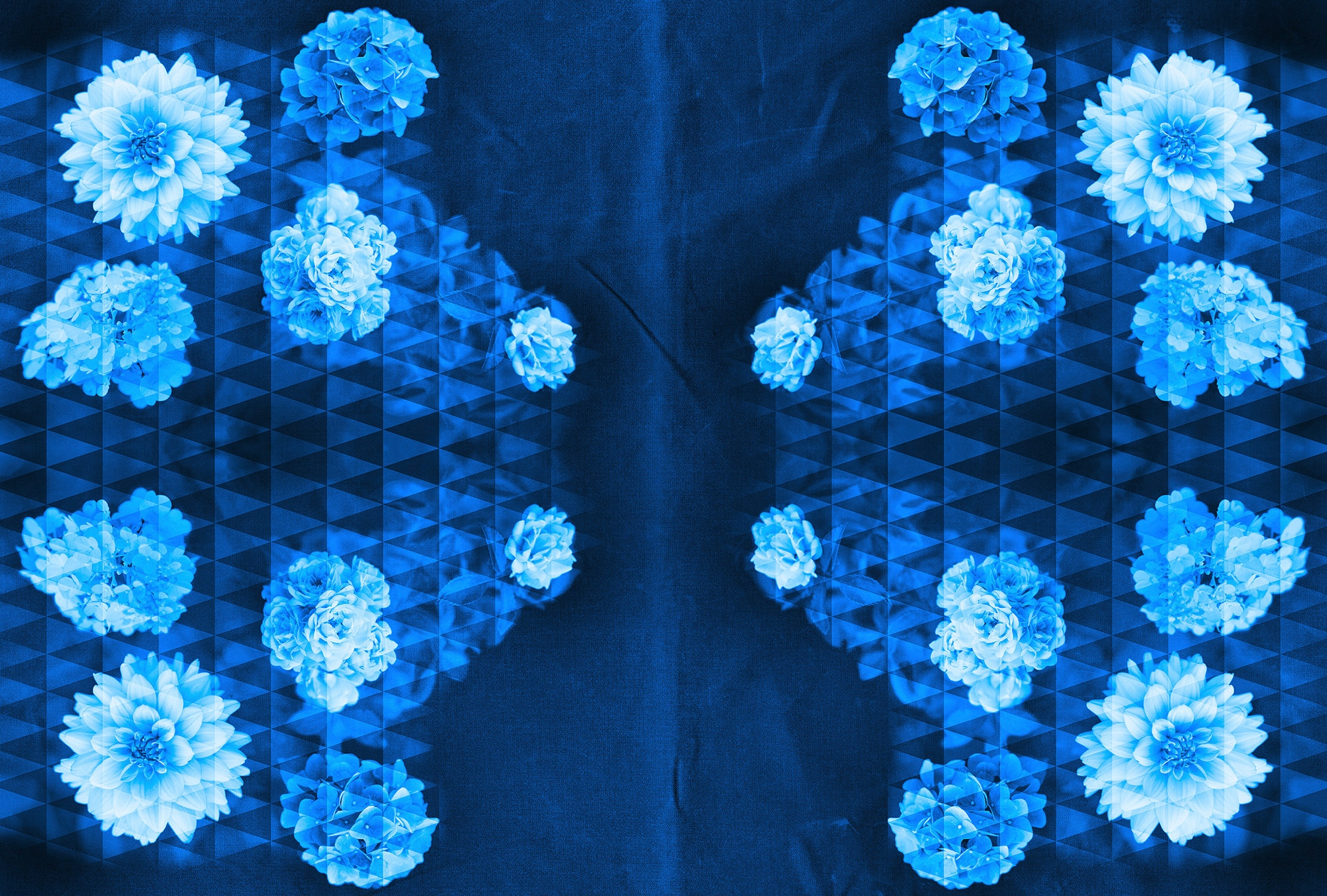 Architects Paper Fototapetas »Artwork Flowers« Vlies Wa...