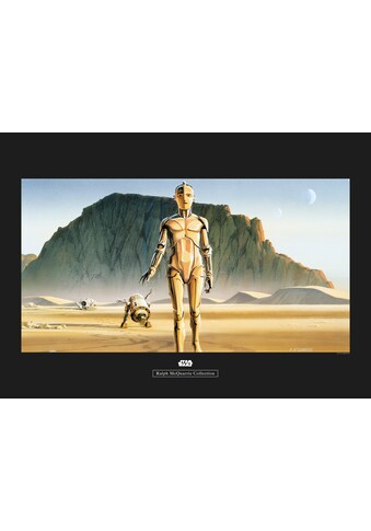 Komar Poster »Star Wars Classic RMQ Droids« ...